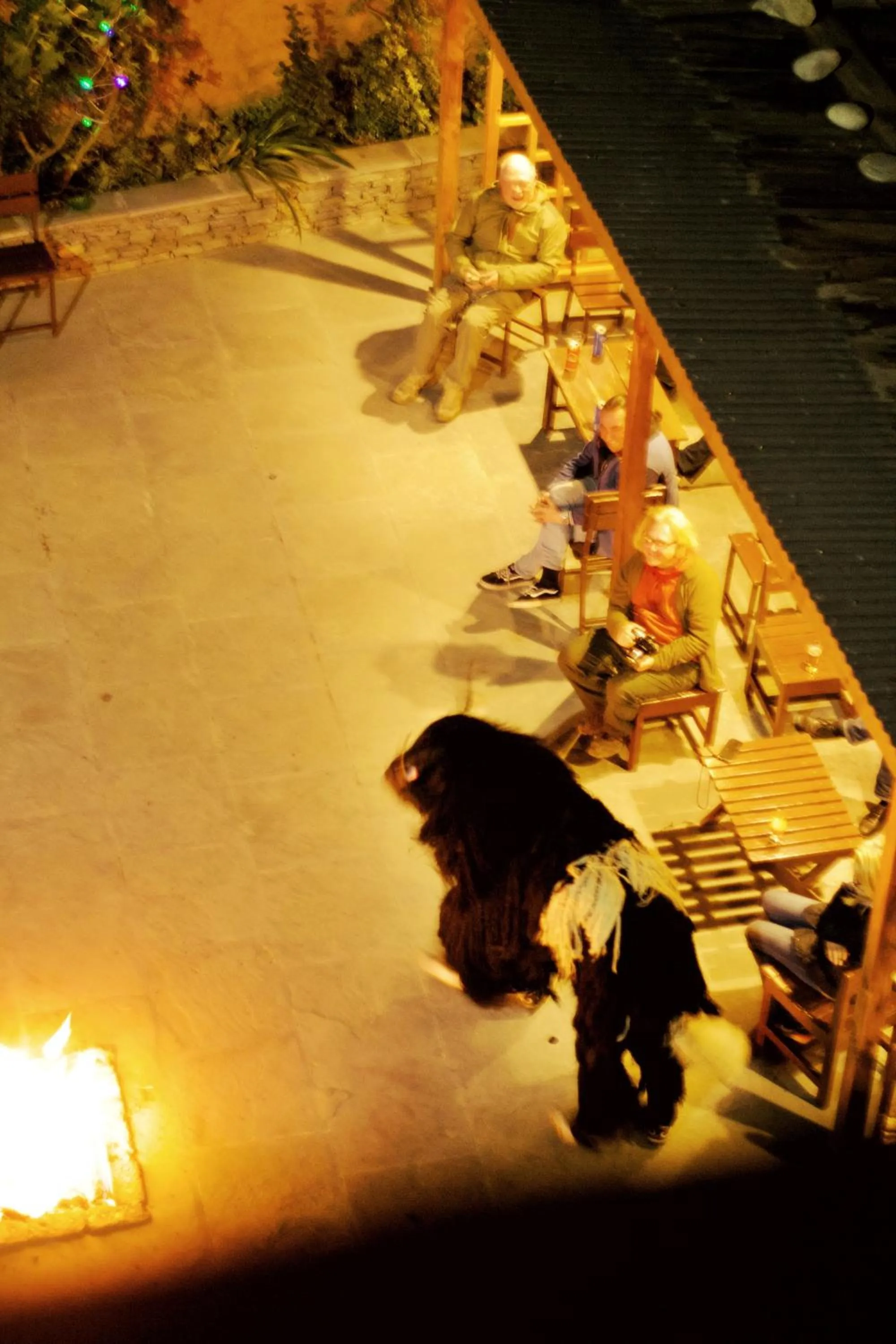 Night in Paro Eco Lodge