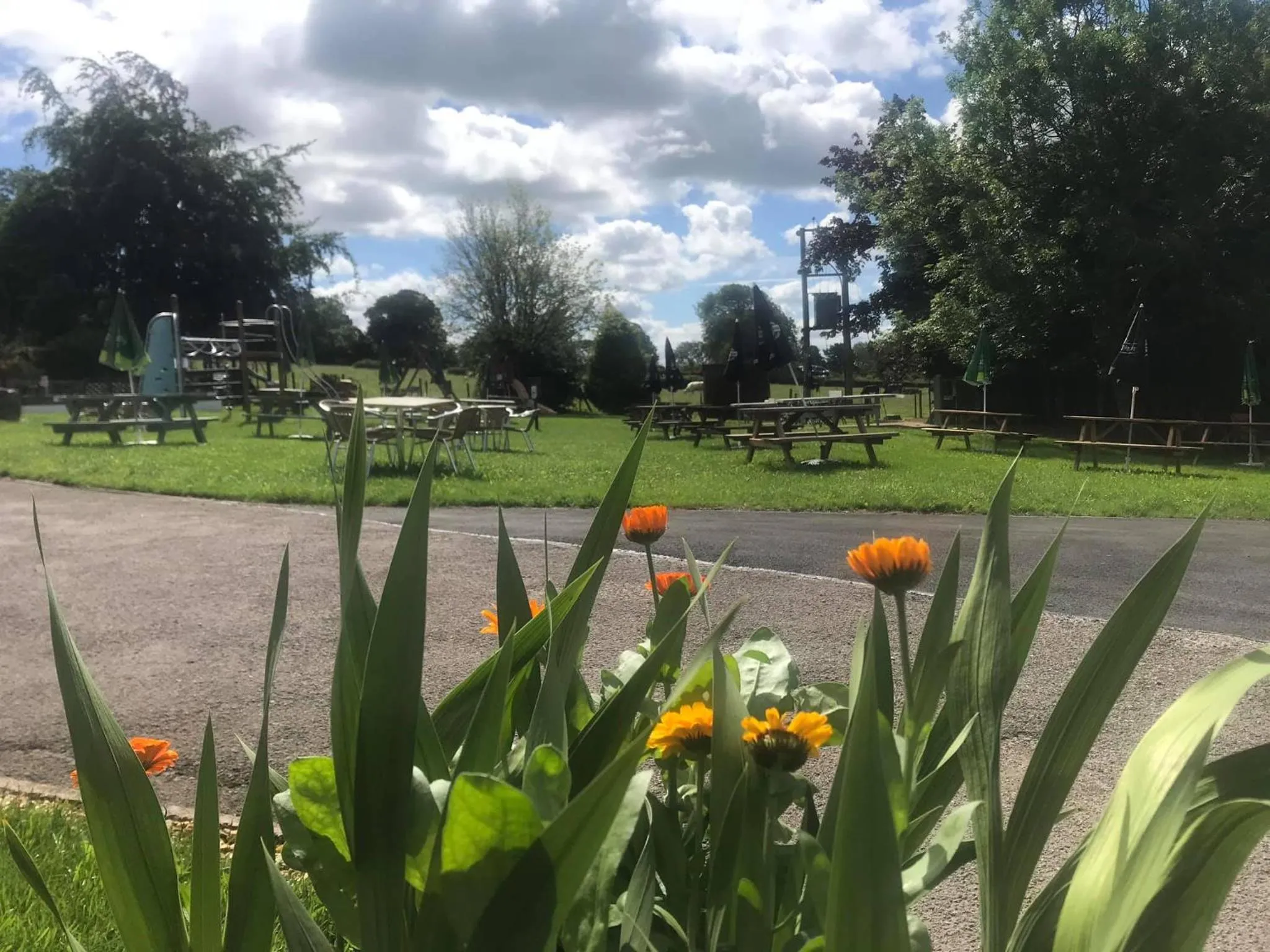 Garden in The Dog & Partridge Country Inn