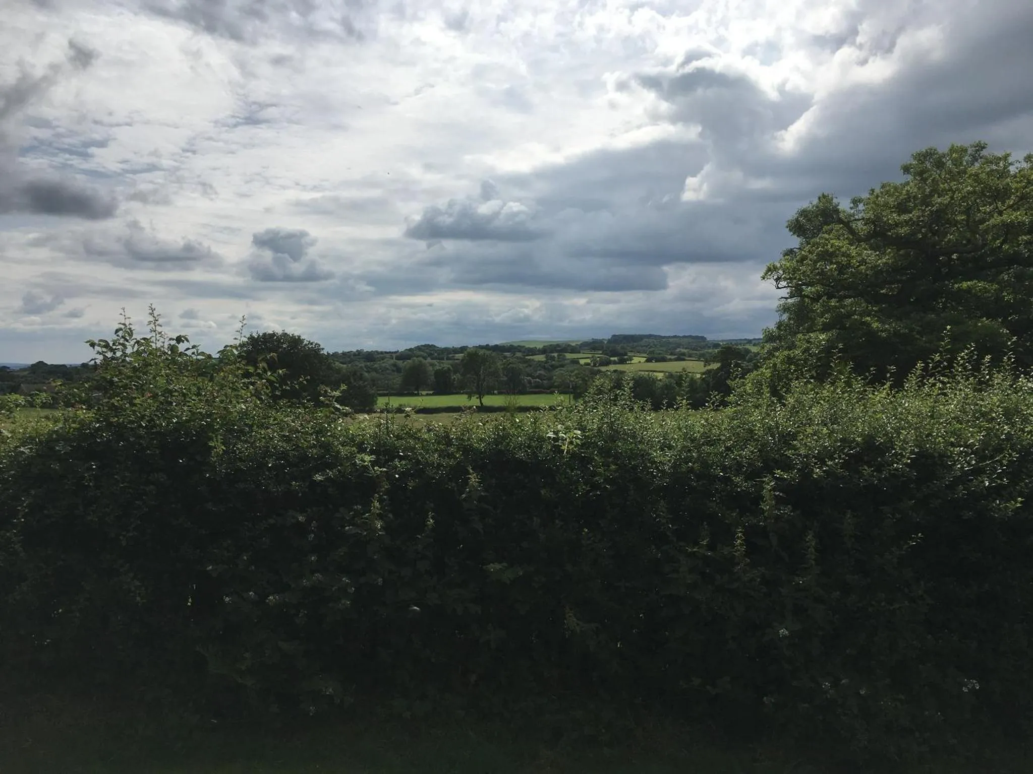 Natural landscape in The Dog & Partridge Country Inn