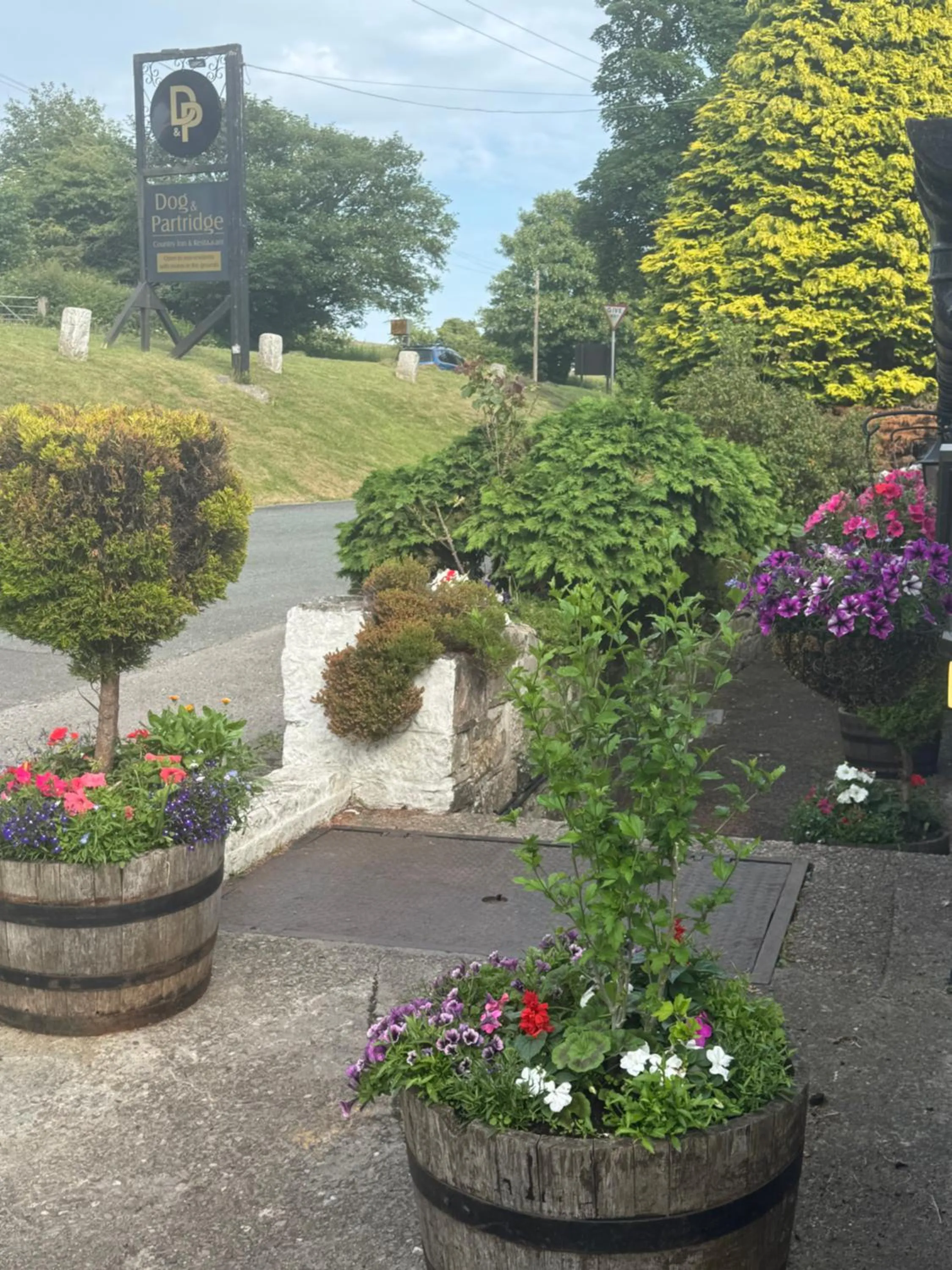 Natural landscape in The Dog & Partridge Country Inn