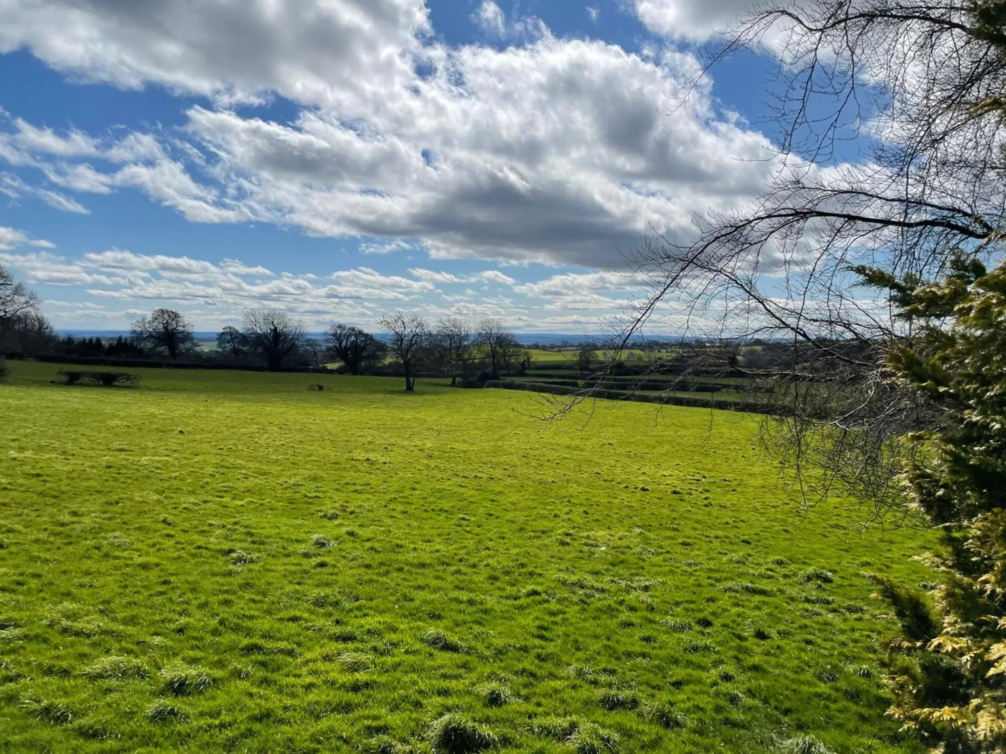 The Dog & Partridge Country Inn