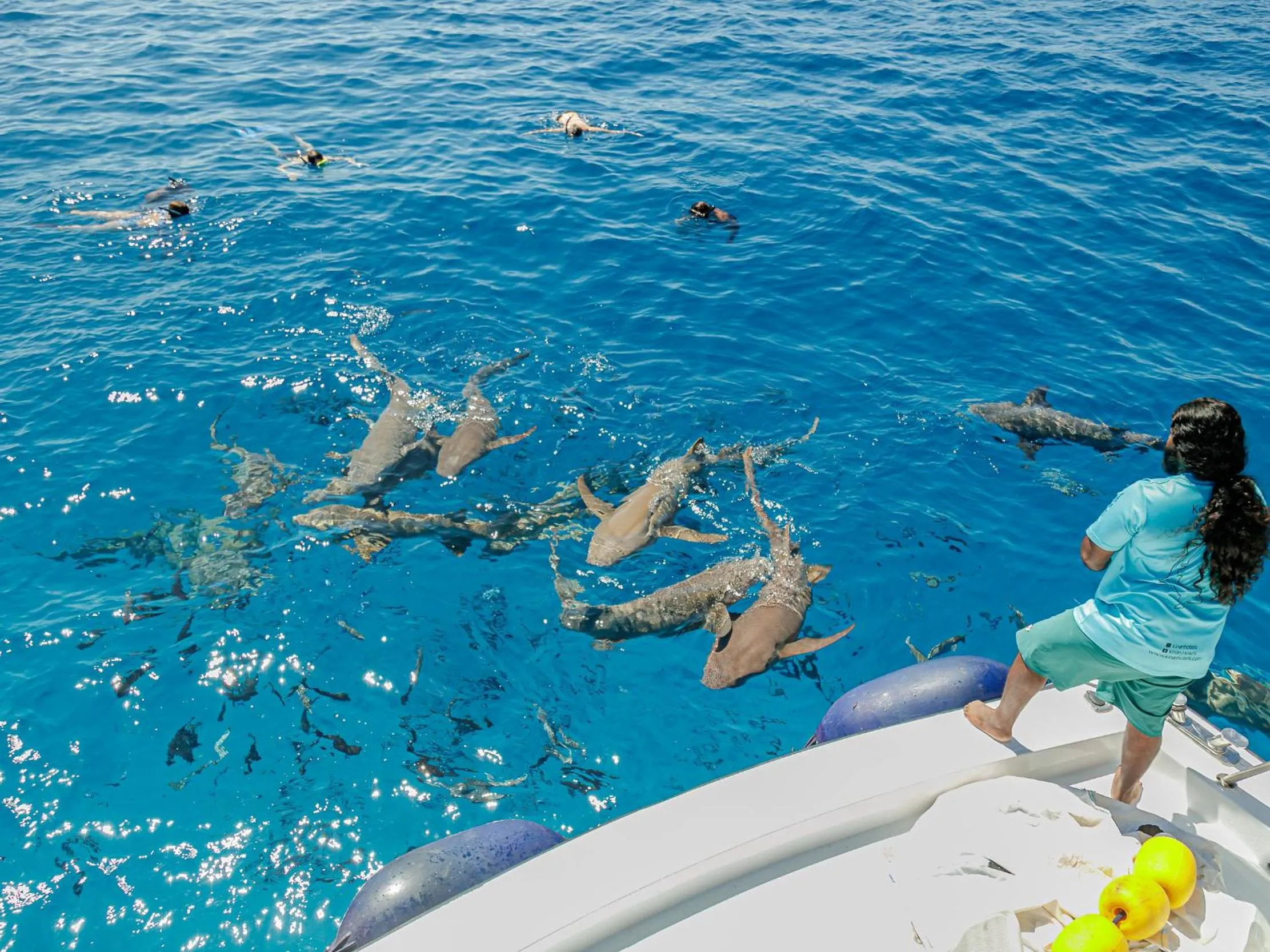 Snorkeling in Kinan Boutique
