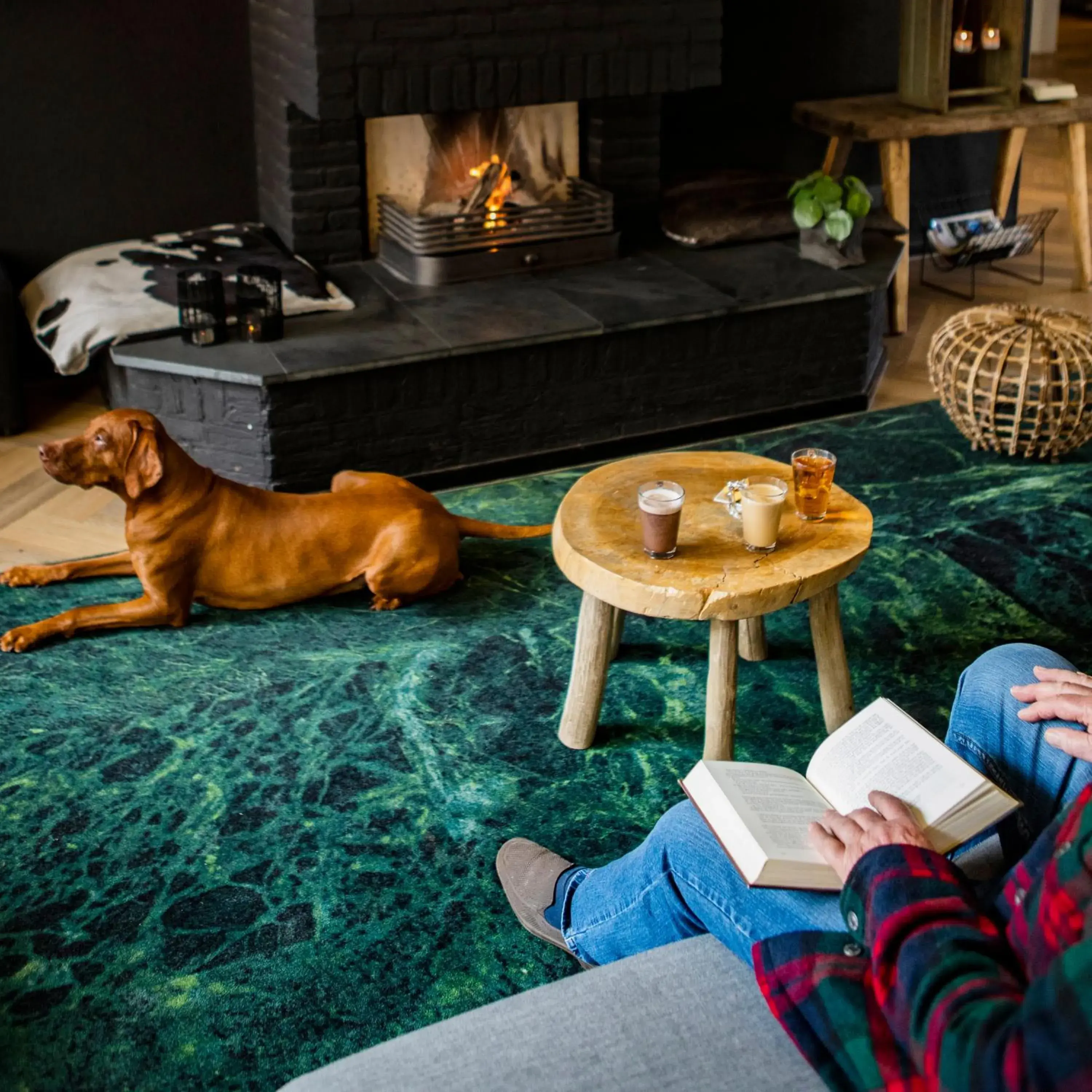 Lobby or reception in Buitenplaats de Bergse Bossen Lobby or reception in Buitenplaats de Bergse Bossen