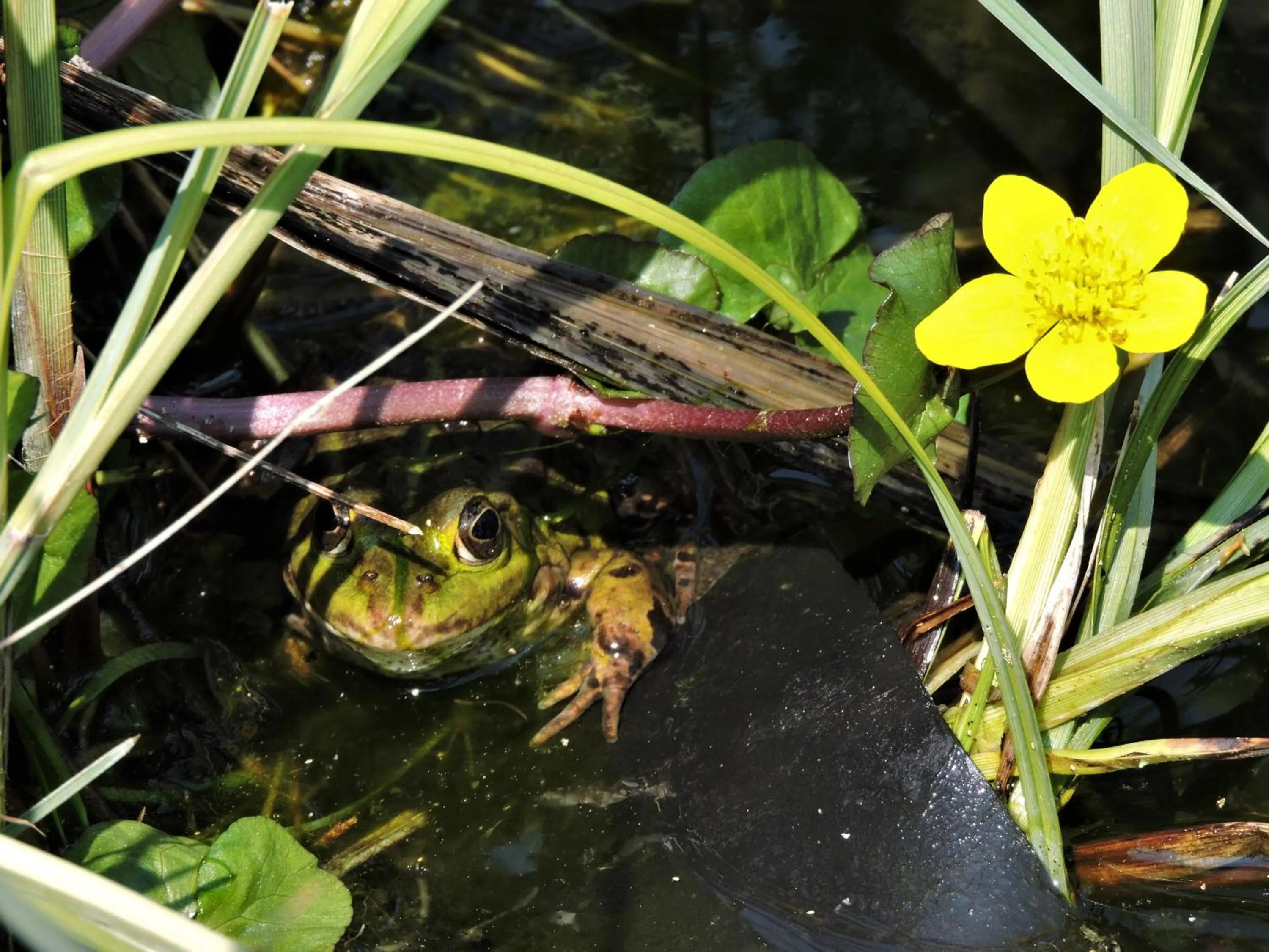 Property building in Apartment Am Anker