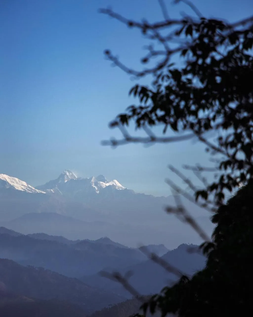 Kasar Himalaya Holiday Resort, Binsar Rd