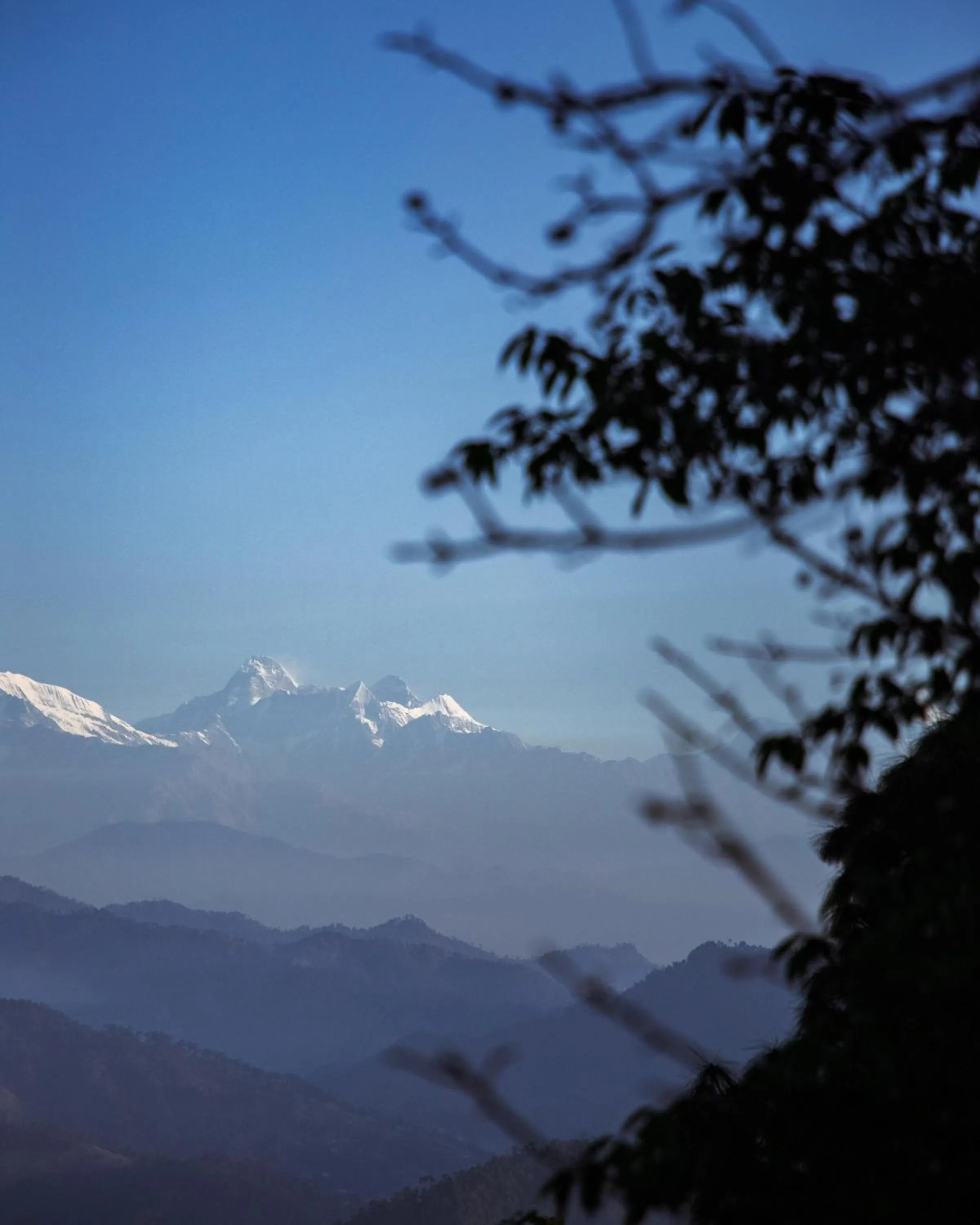 Kasar Himalaya Holiday Resort, Binsar Rd