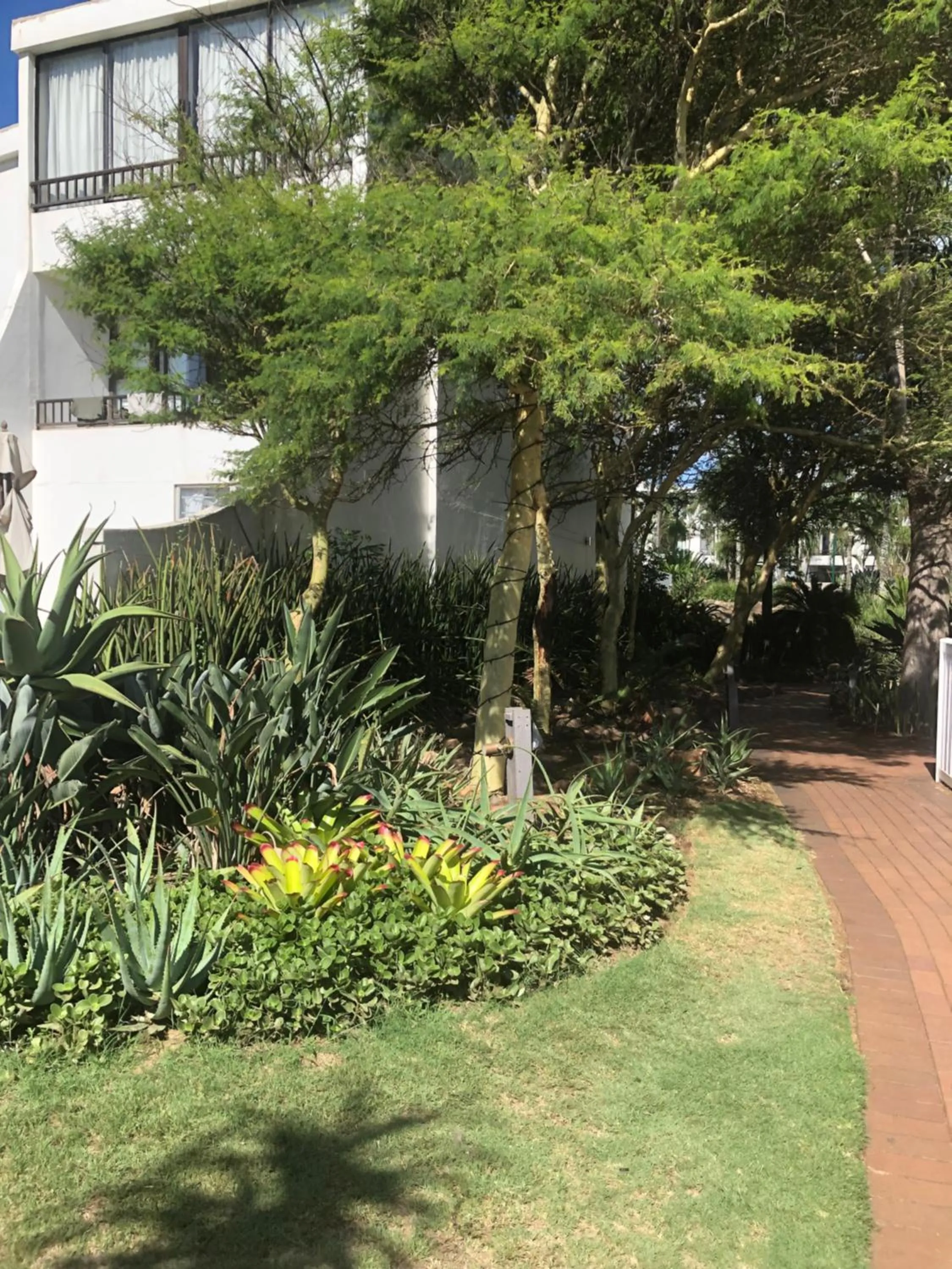 Day in Breakers Resort, Umhlanga, 232