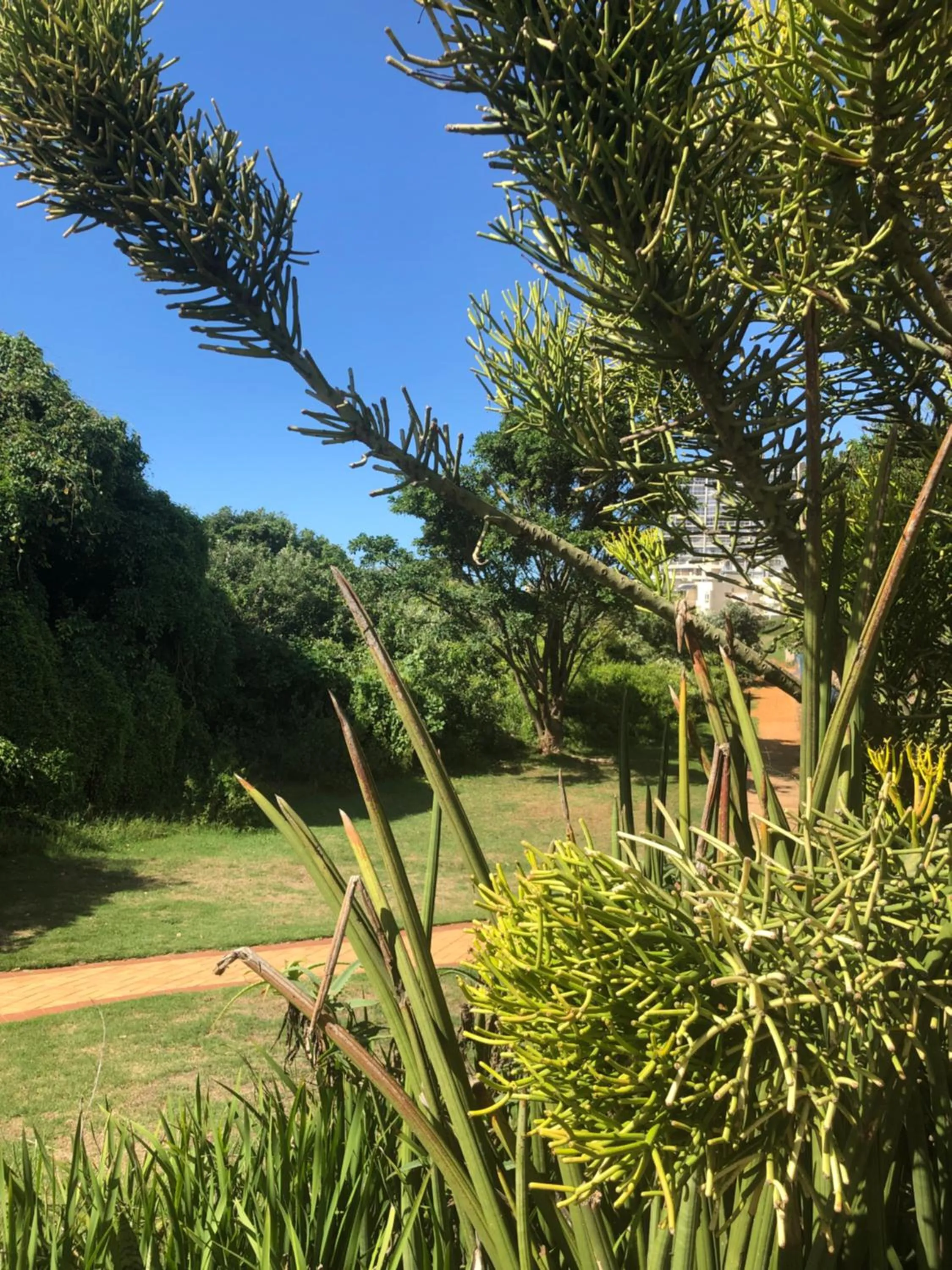 Day in Breakers Resort, Umhlanga, 232