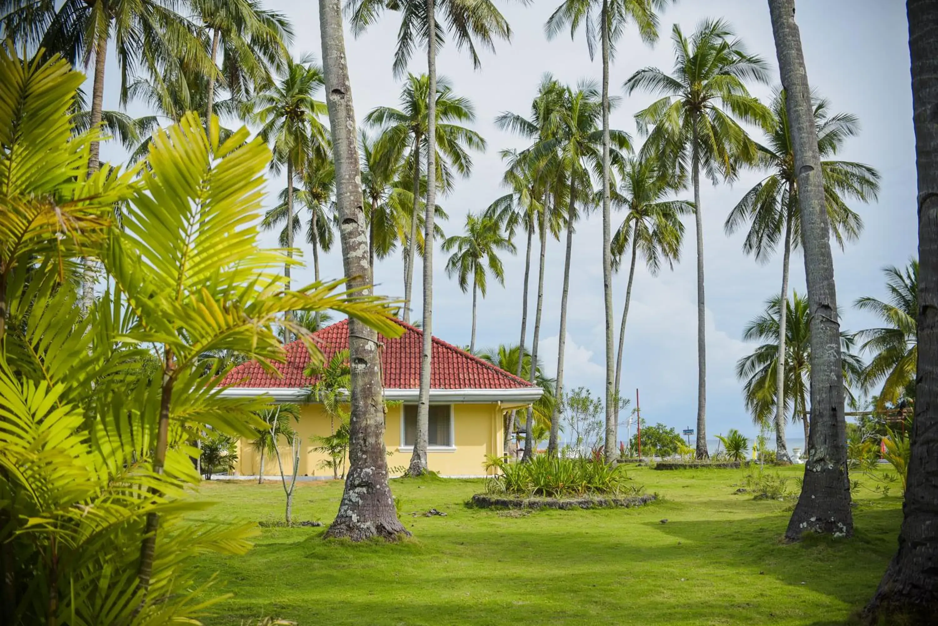 Garden view in Whispering Palms Island Resort Garden view in Whispering Palms Island Resort