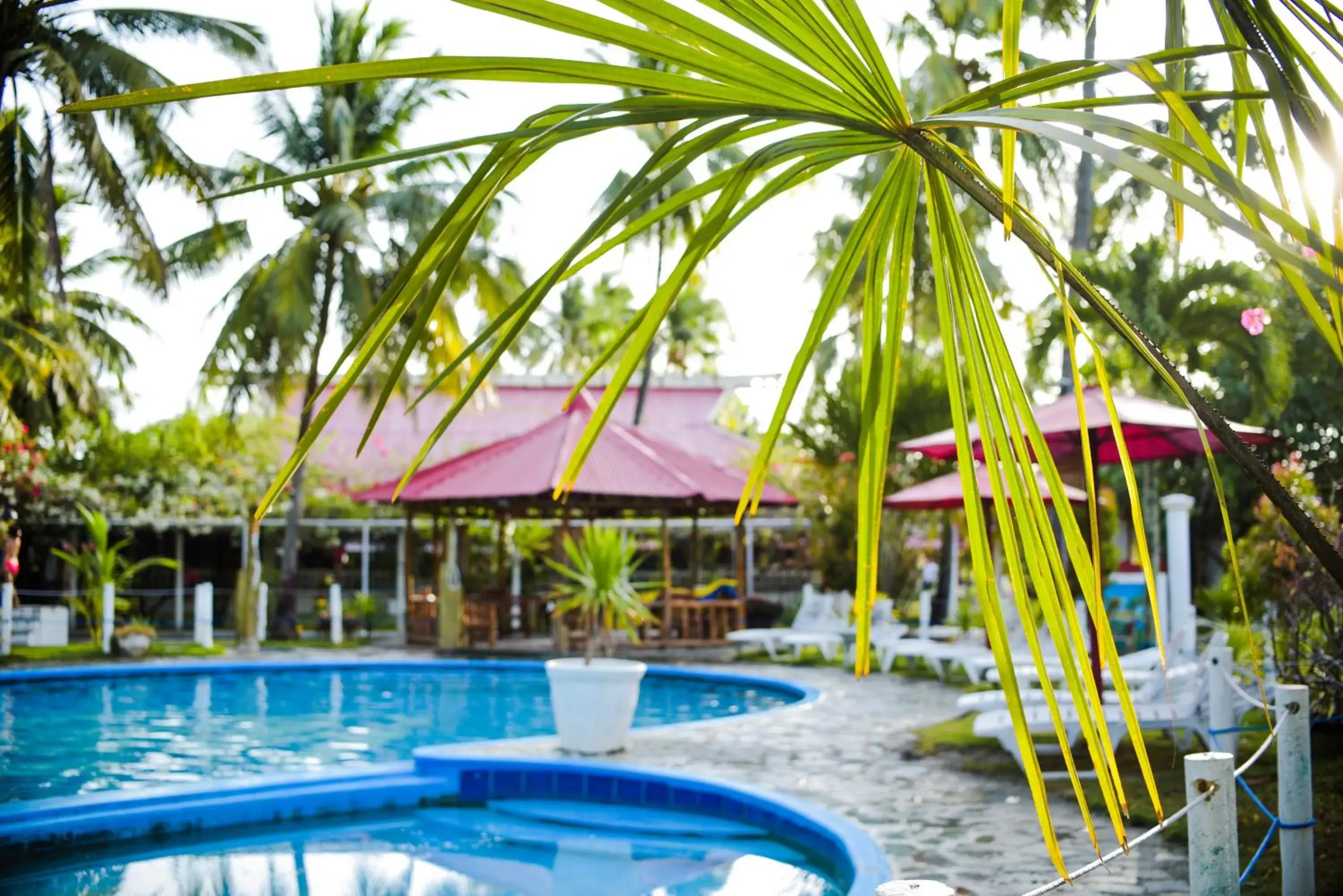 Swimming pool in Whispering Palms Island Resort Swimming pool in Whispering Palms Island Resort