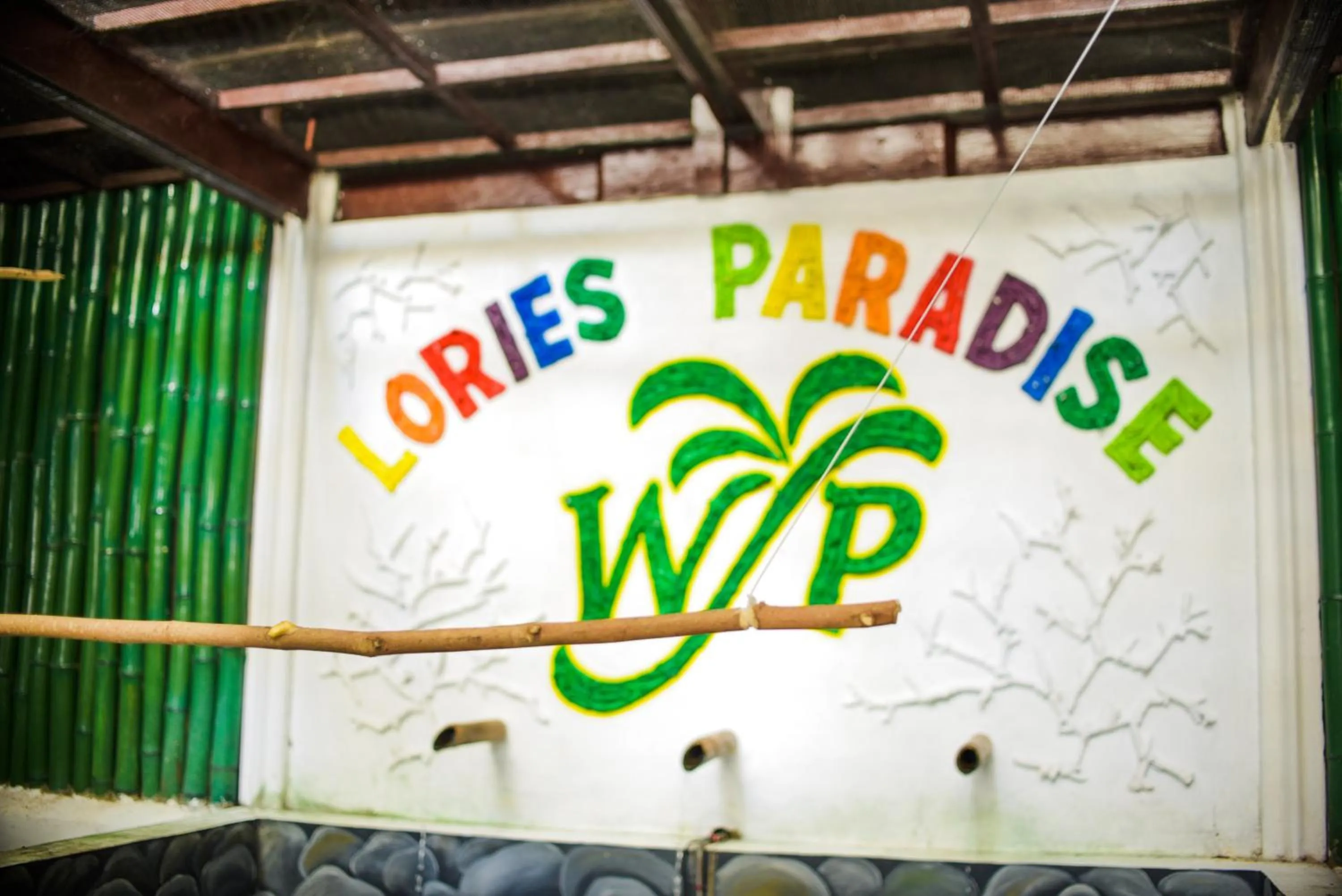 Text overlay in Whispering Palms Island Resort