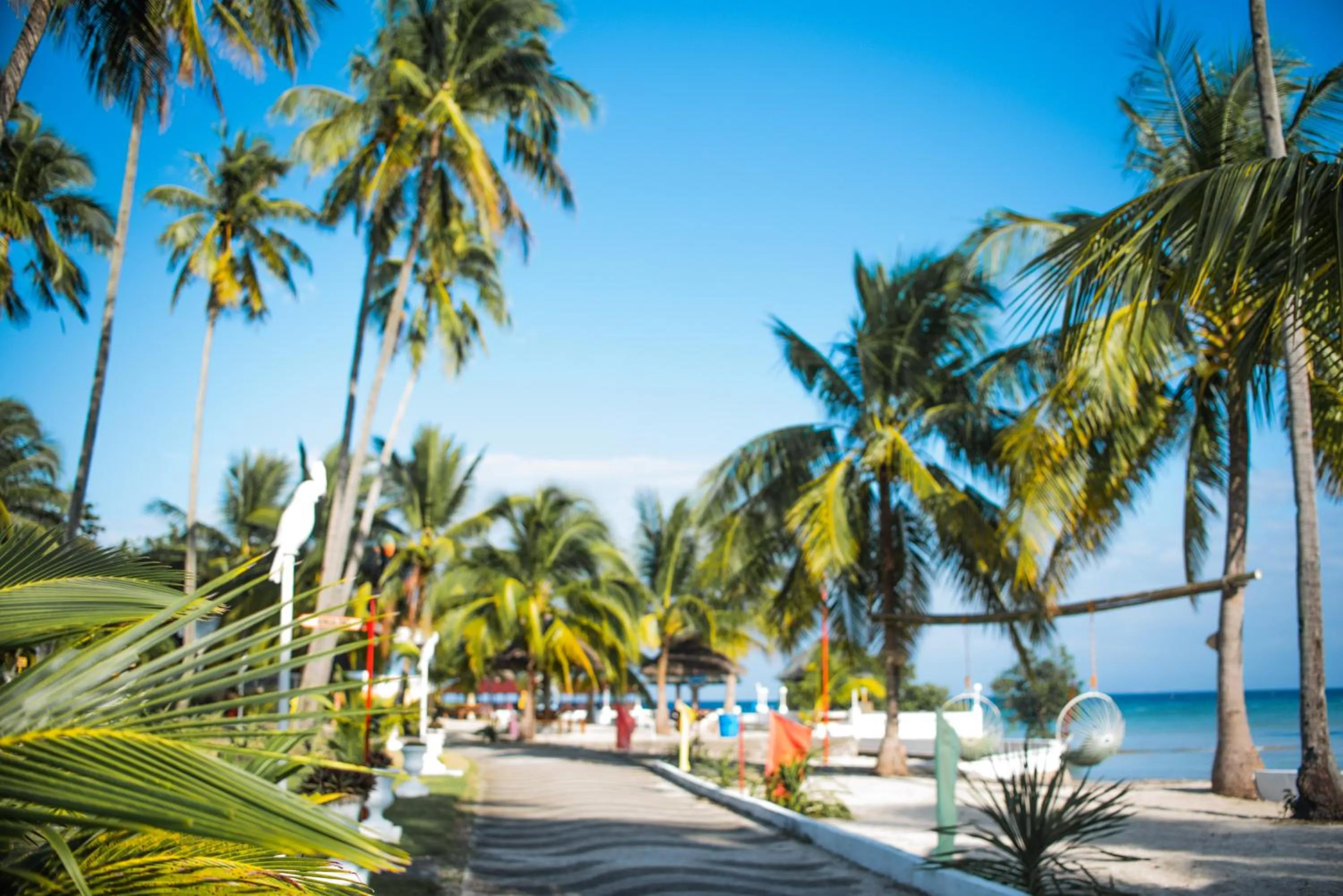 Garden in Whispering Palms Island Resort