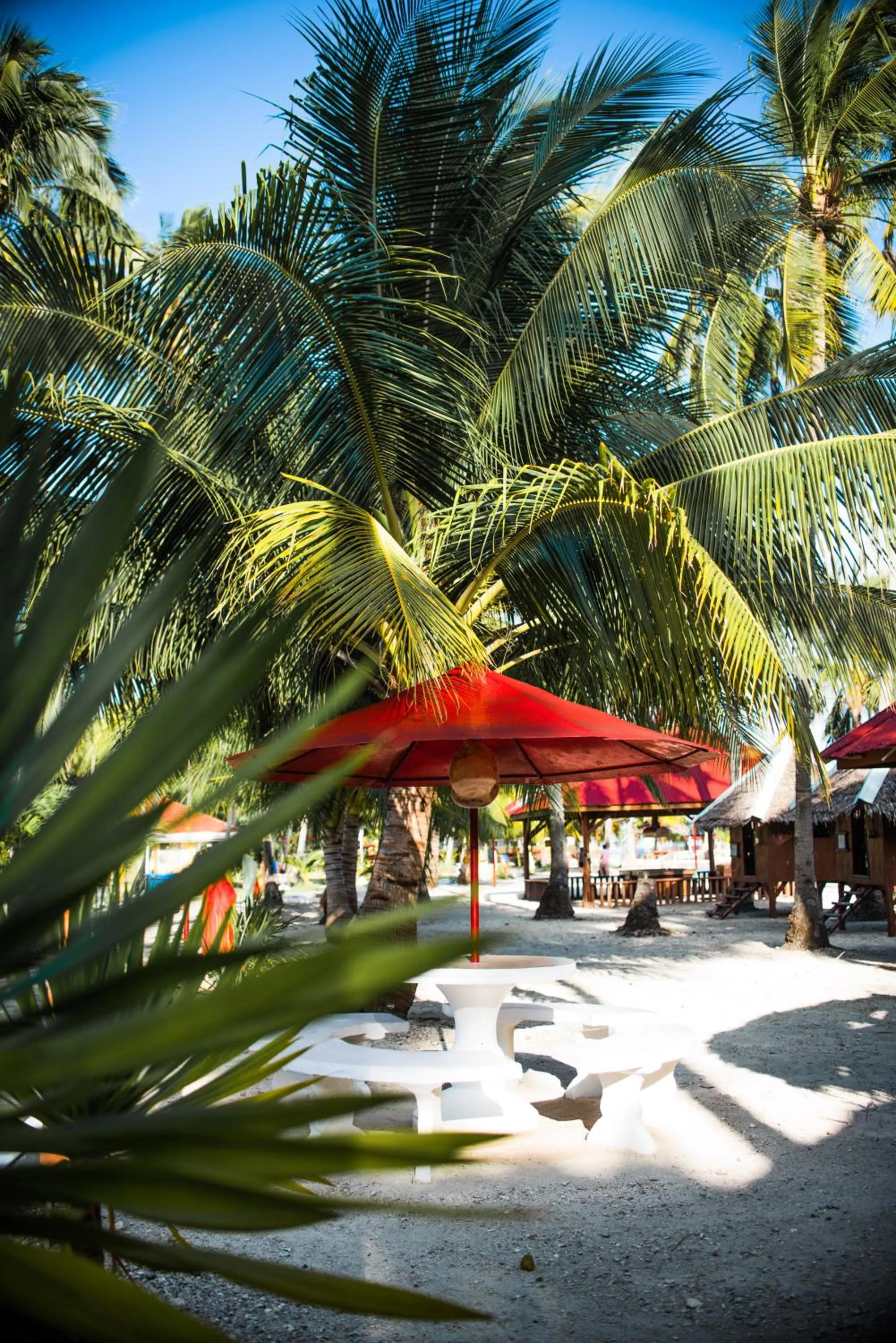 Garden in Whispering Palms Island Resort