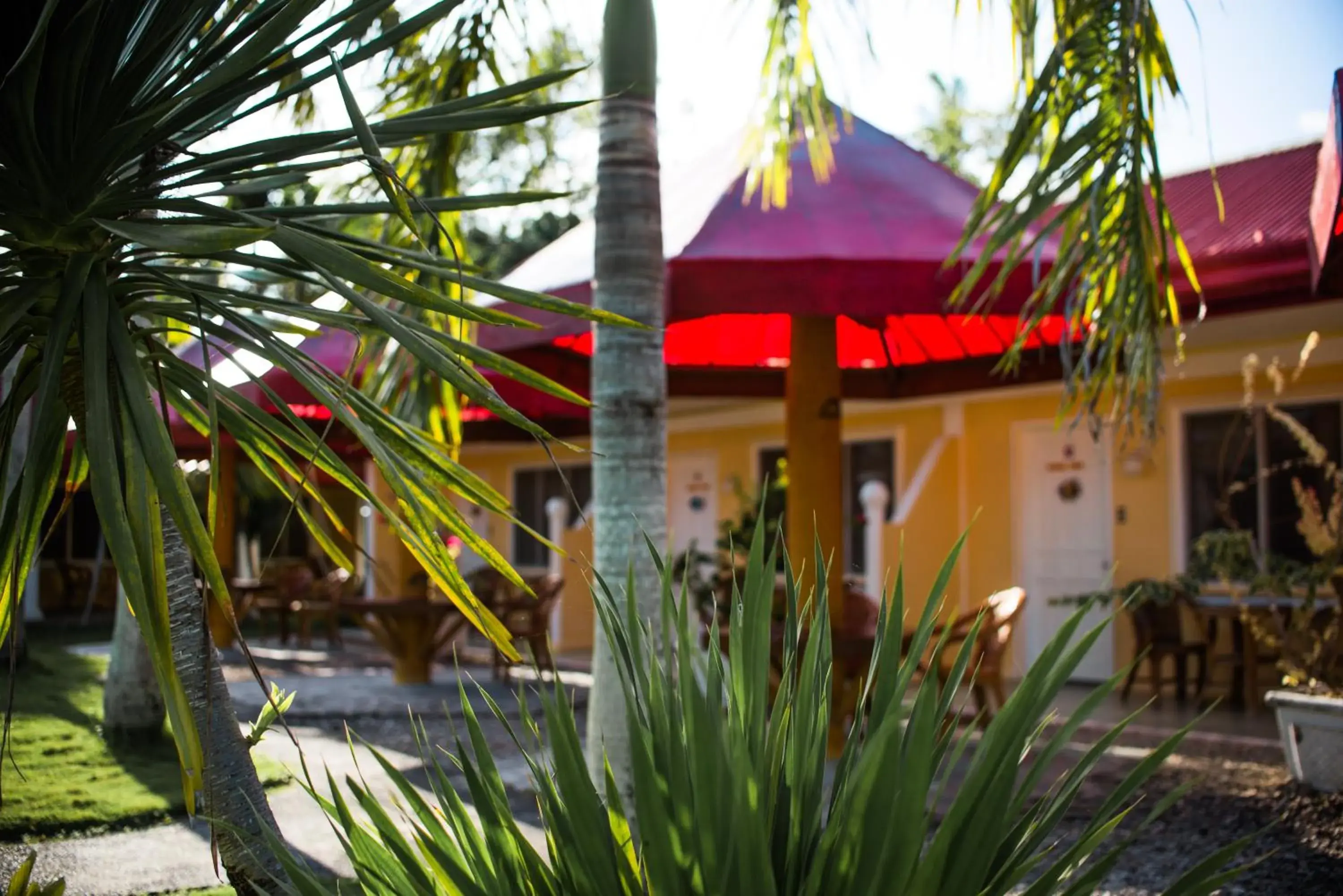 Property building in Whispering Palms Island Resort Property building in Whispering Palms Island Resort