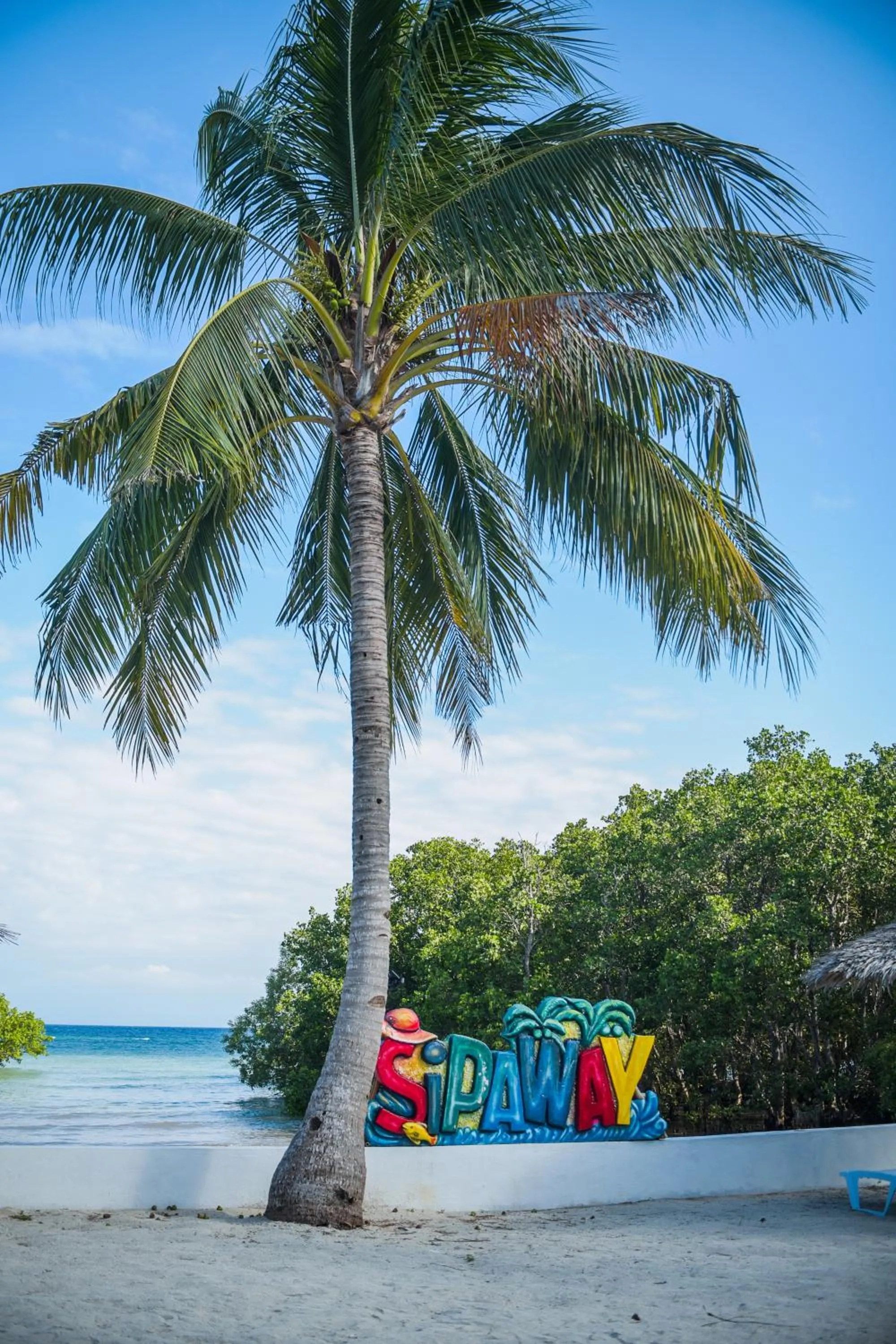 Garden in Whispering Palms Island Resort