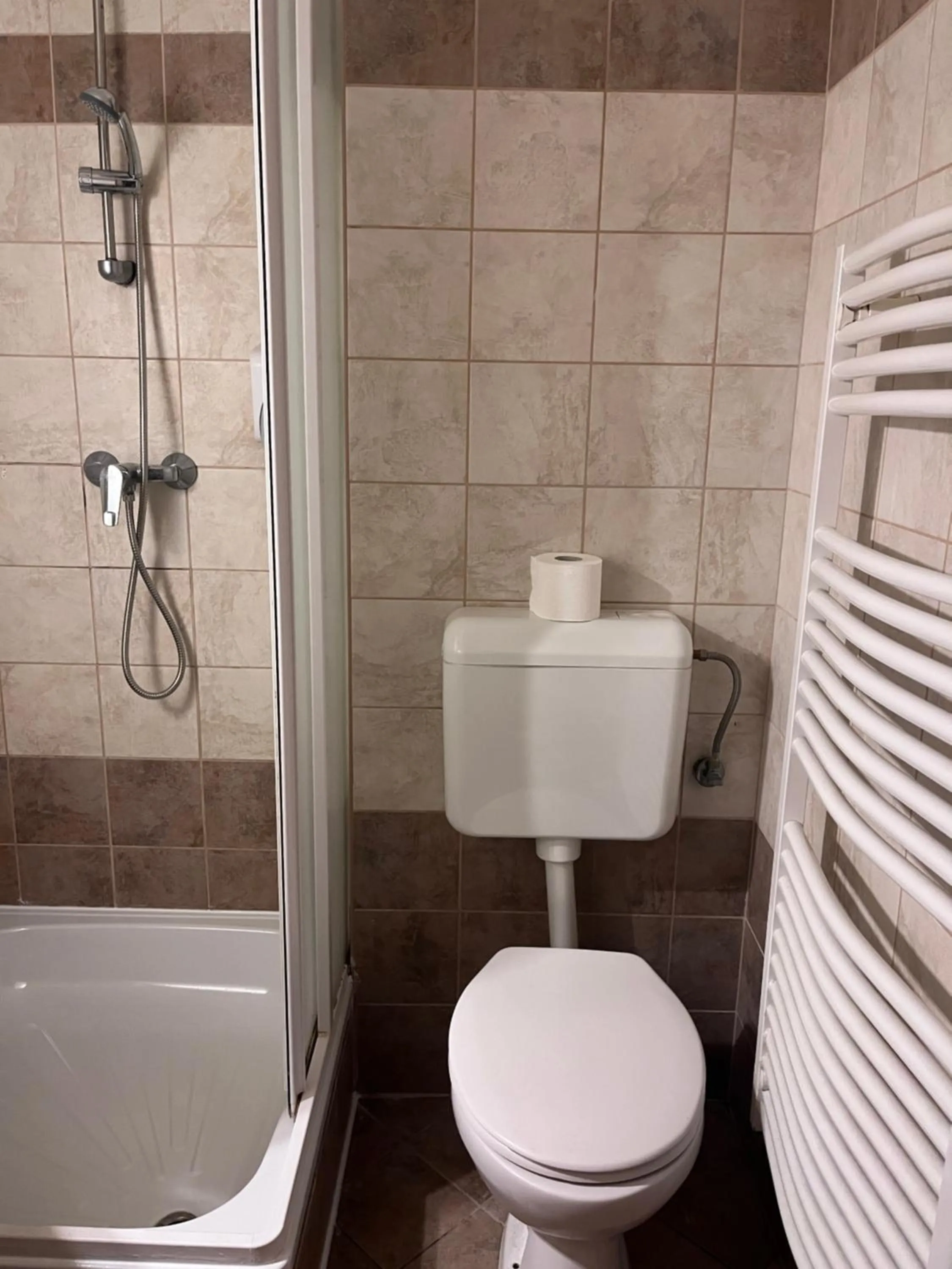 Toilet in Hotel Rose City