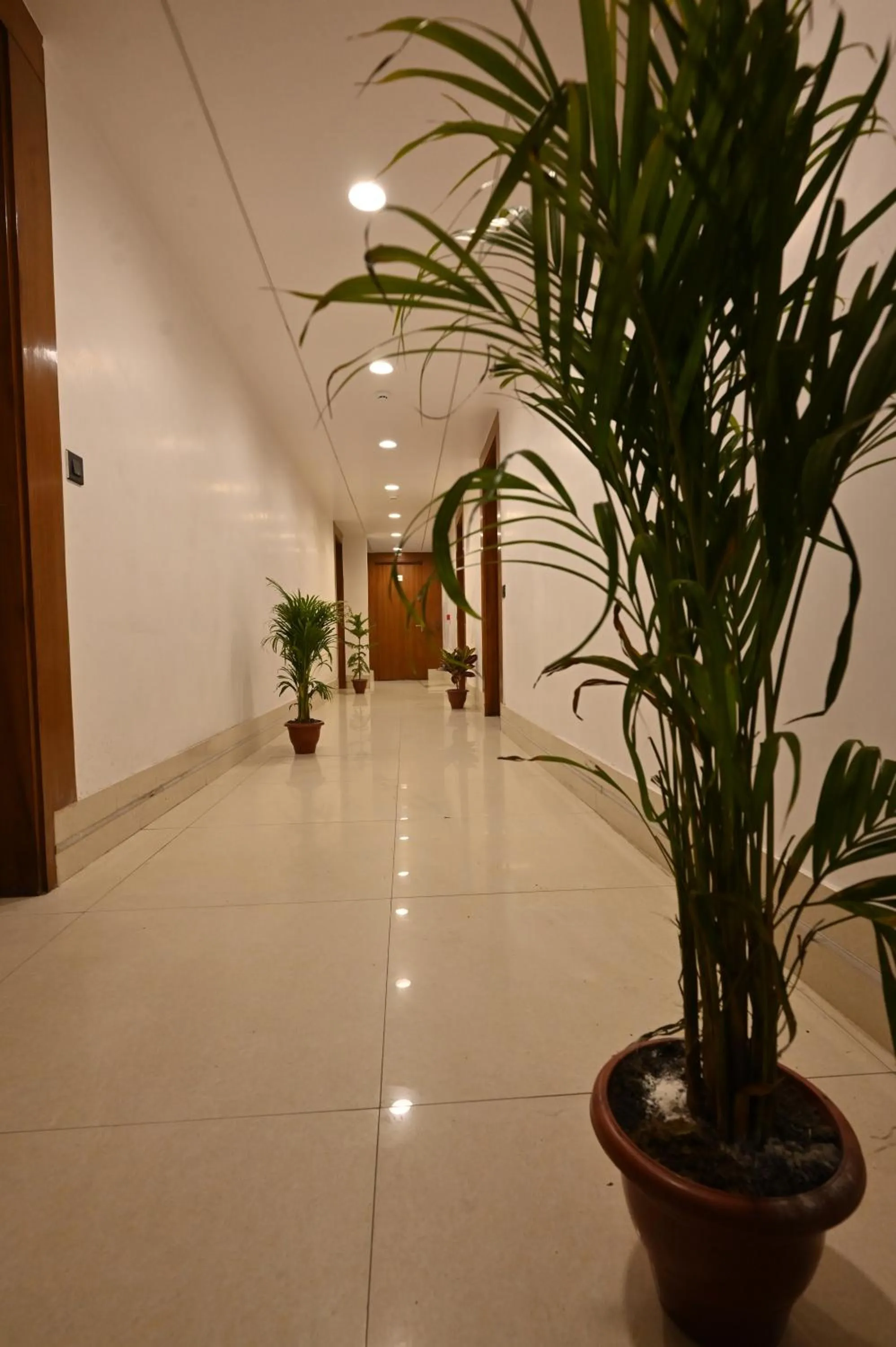 Hotel Down Town Paschim Vihar