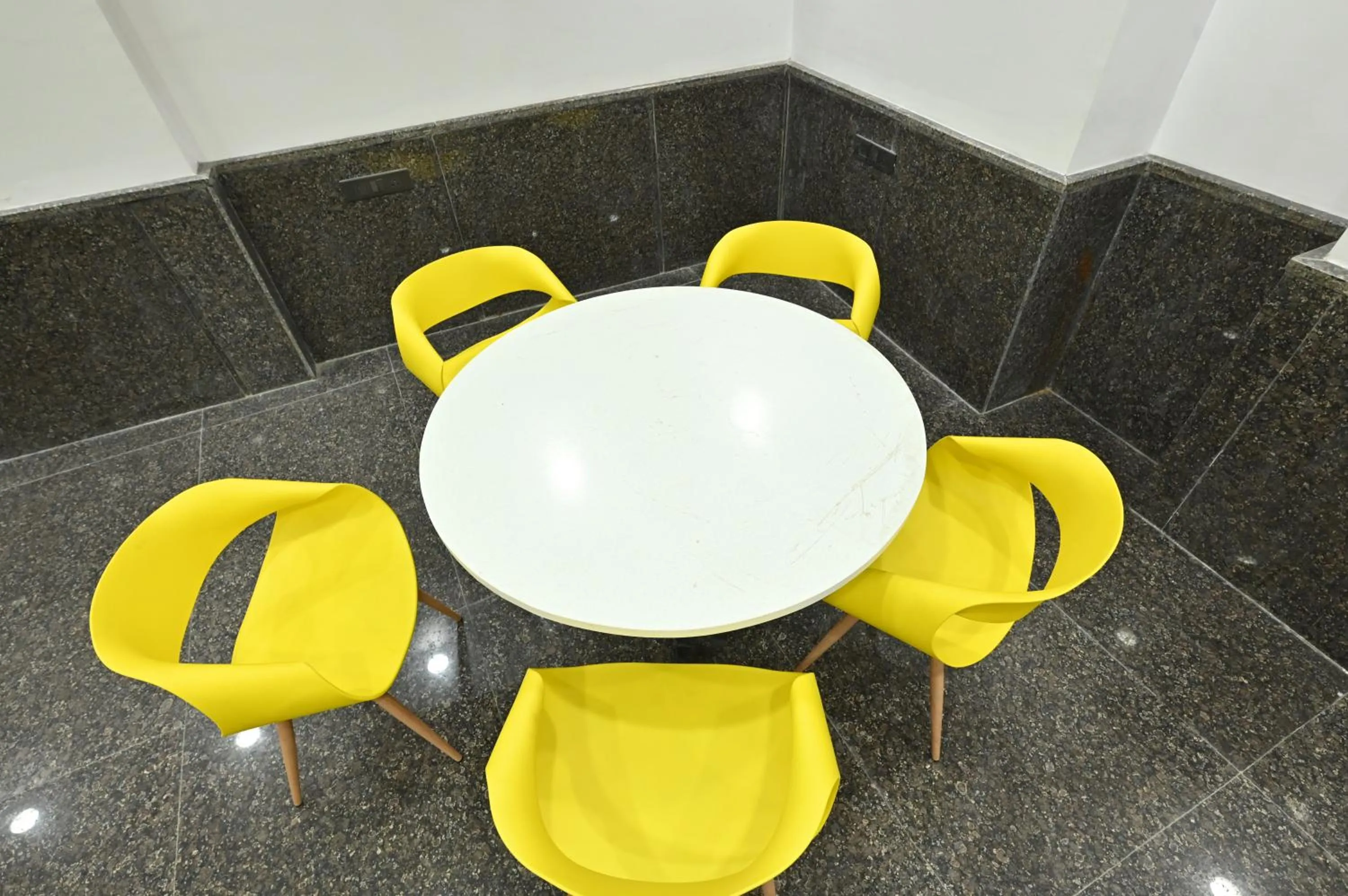 Hotel Down Town Paschim Vihar