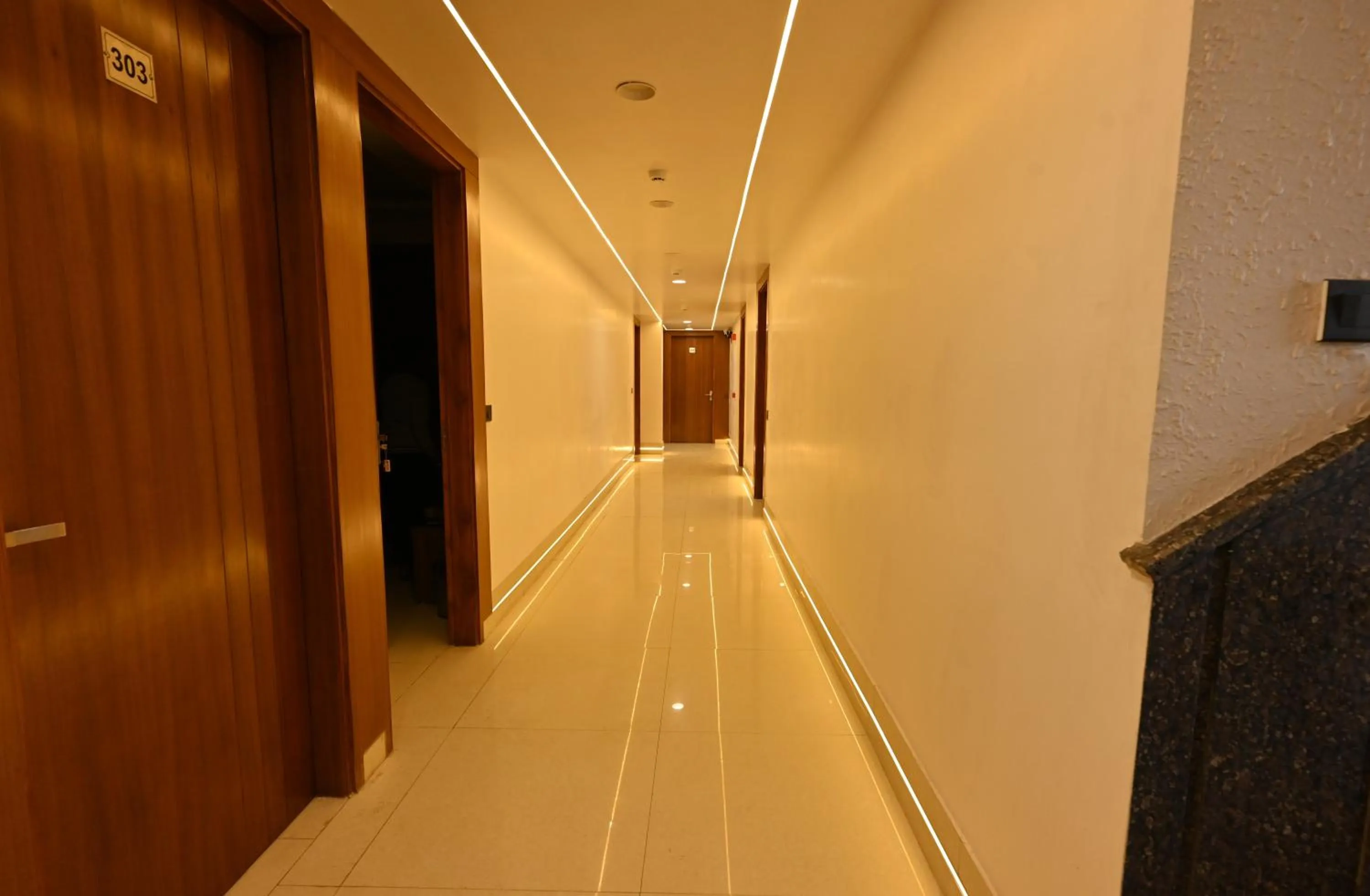 Hotel Down Town Paschim Vihar