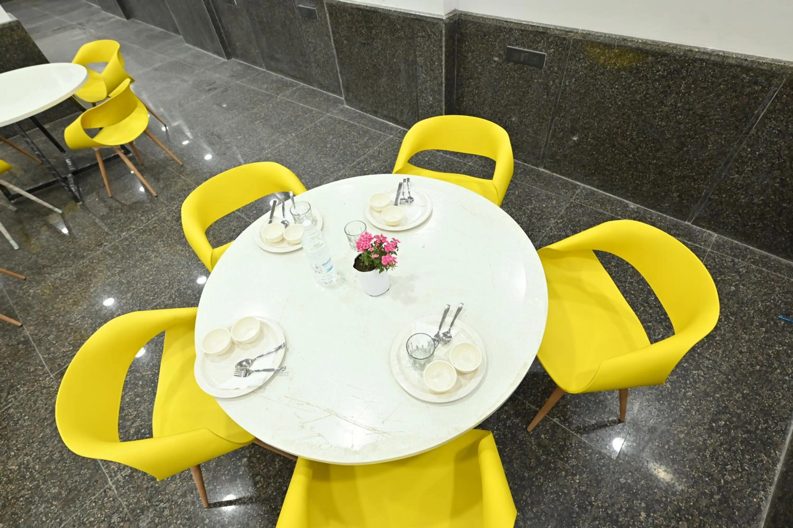 Hotel Down Town Paschim Vihar