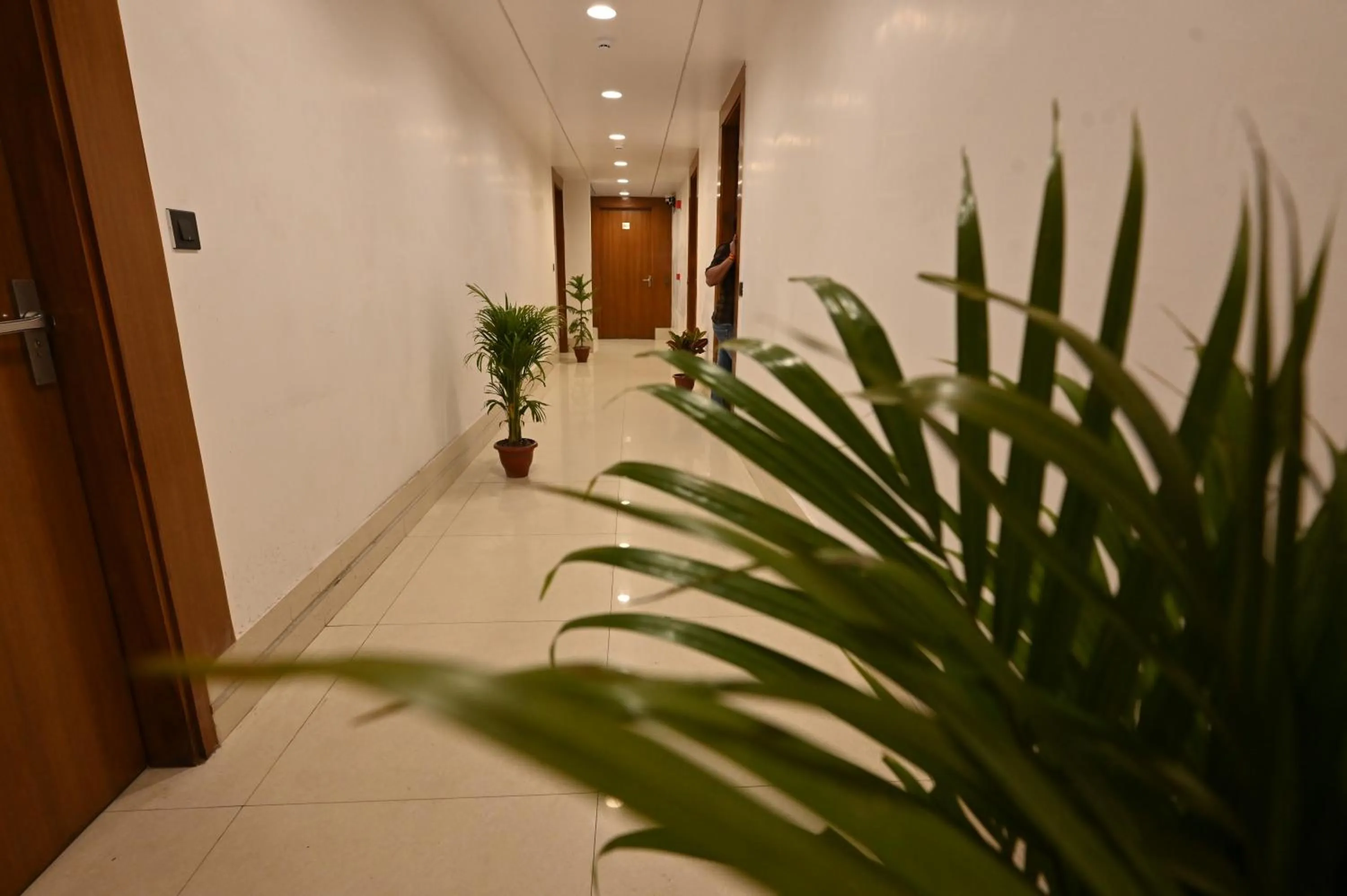Hotel Down Town Paschim Vihar