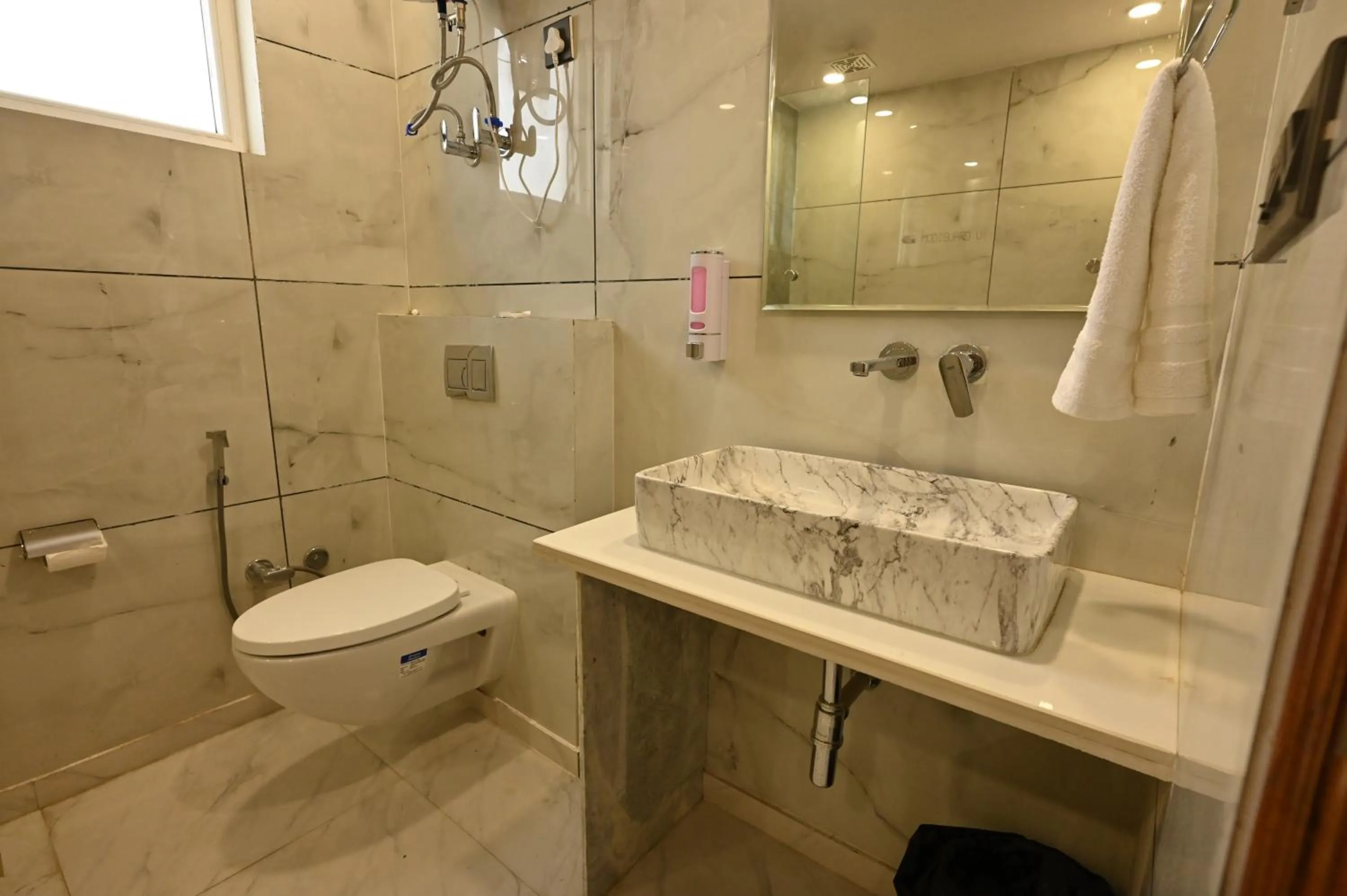 Hotel Down Town Paschim Vihar