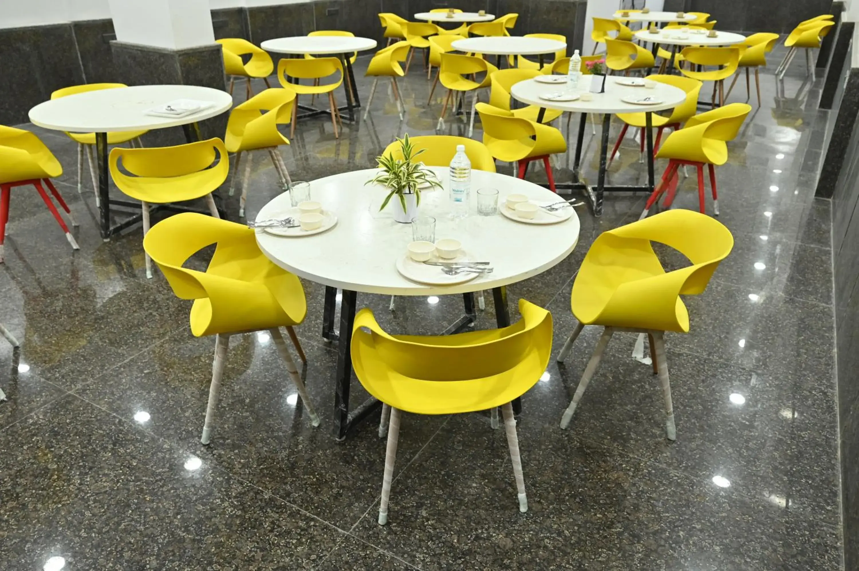 Restaurant/places to eat in Hotel Down Town - Paschim Vihar Restaurant/places to eat in Hotel Down Town - Paschim Vihar