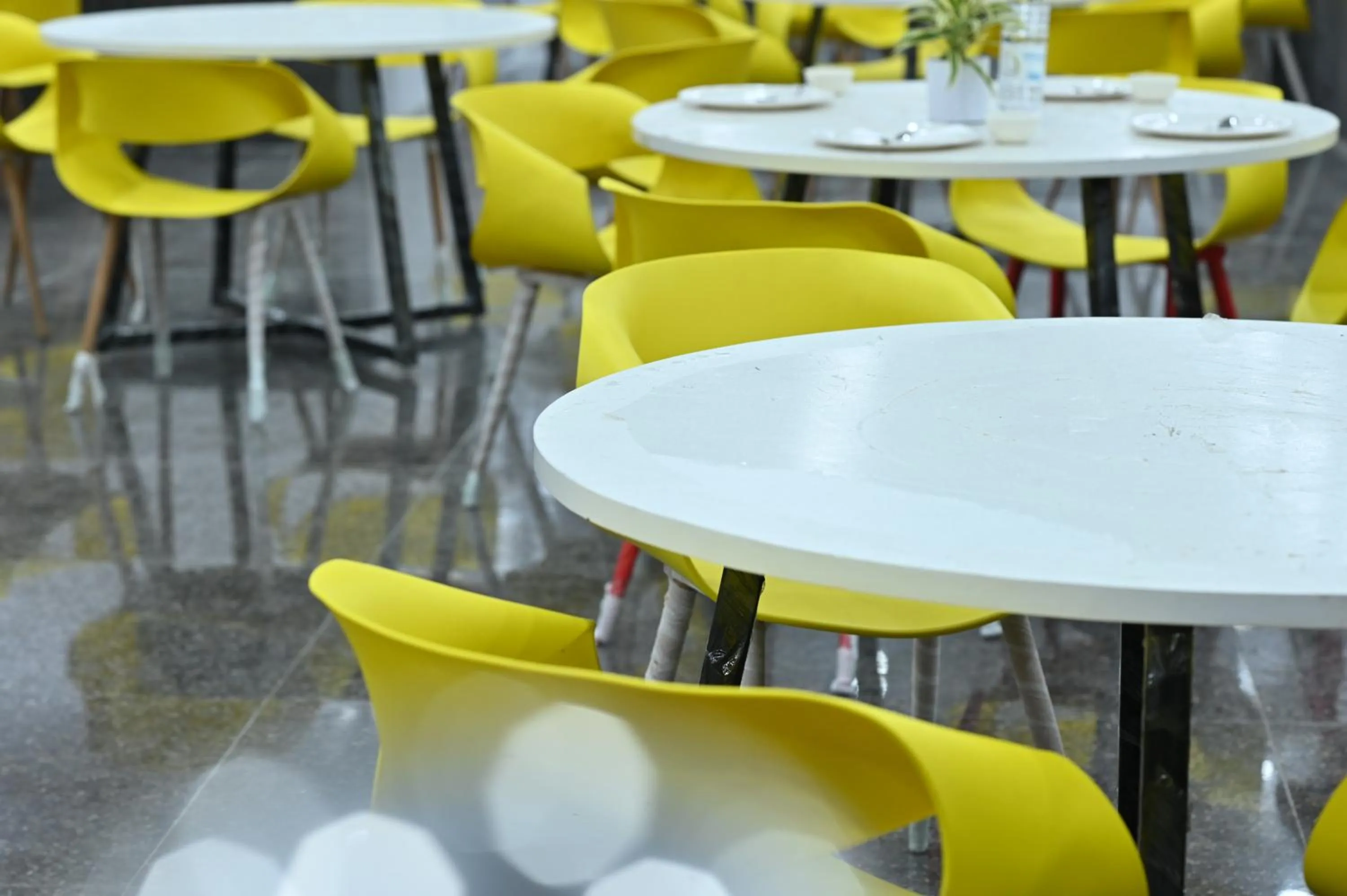 Hotel Down Town Paschim Vihar