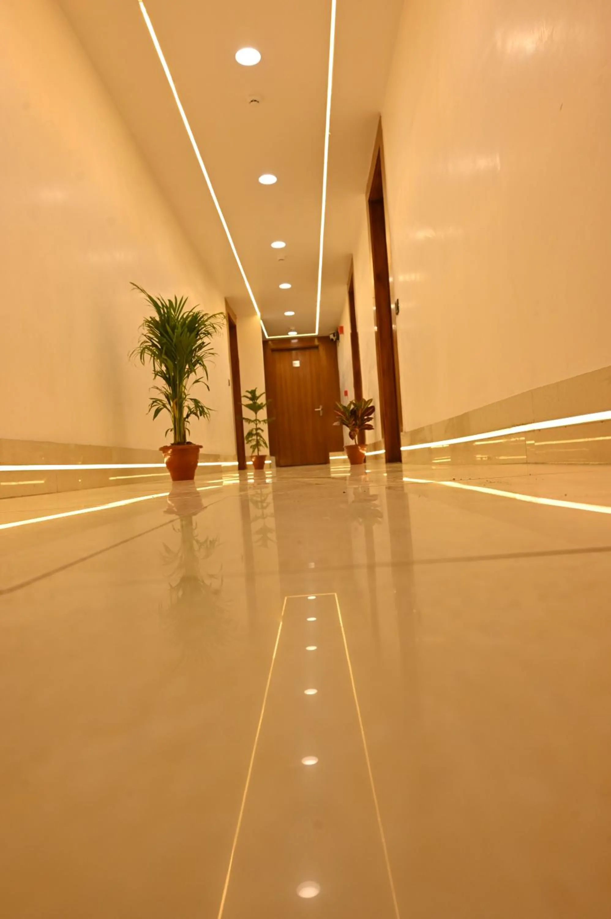 Hotel Down Town Paschim Vihar