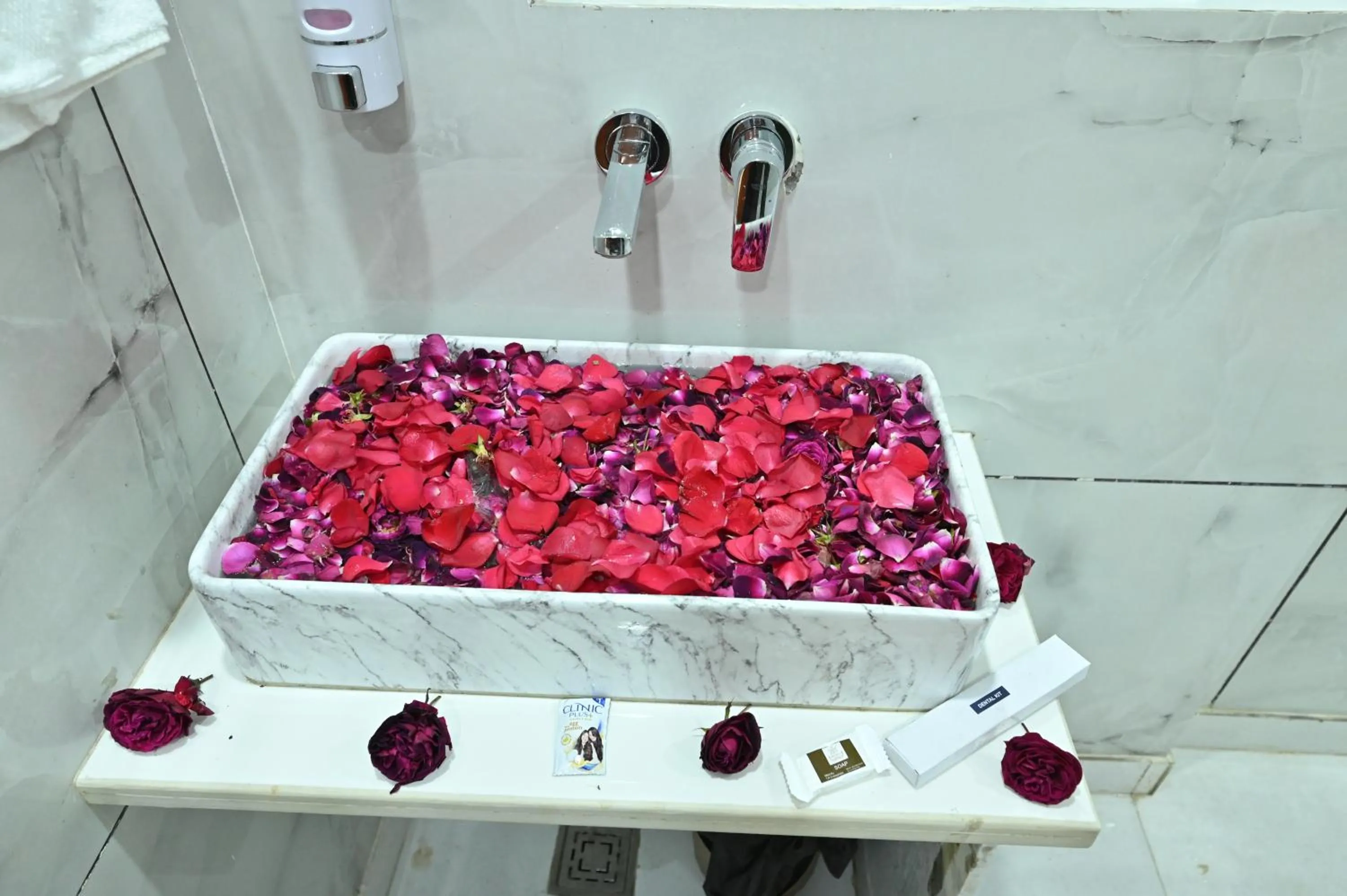 Hotel Down Town Paschim Vihar