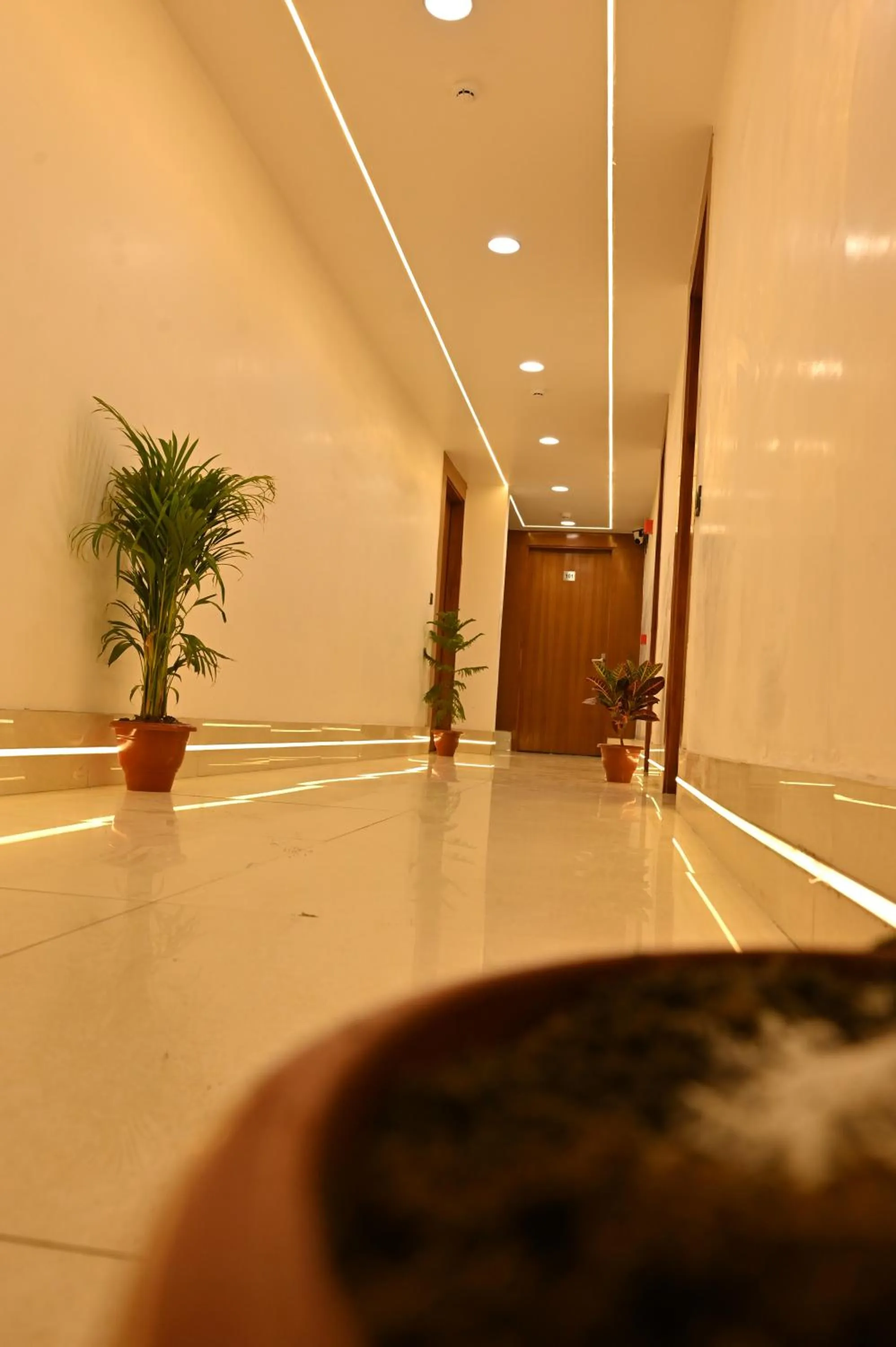 Hotel Down Town Paschim Vihar