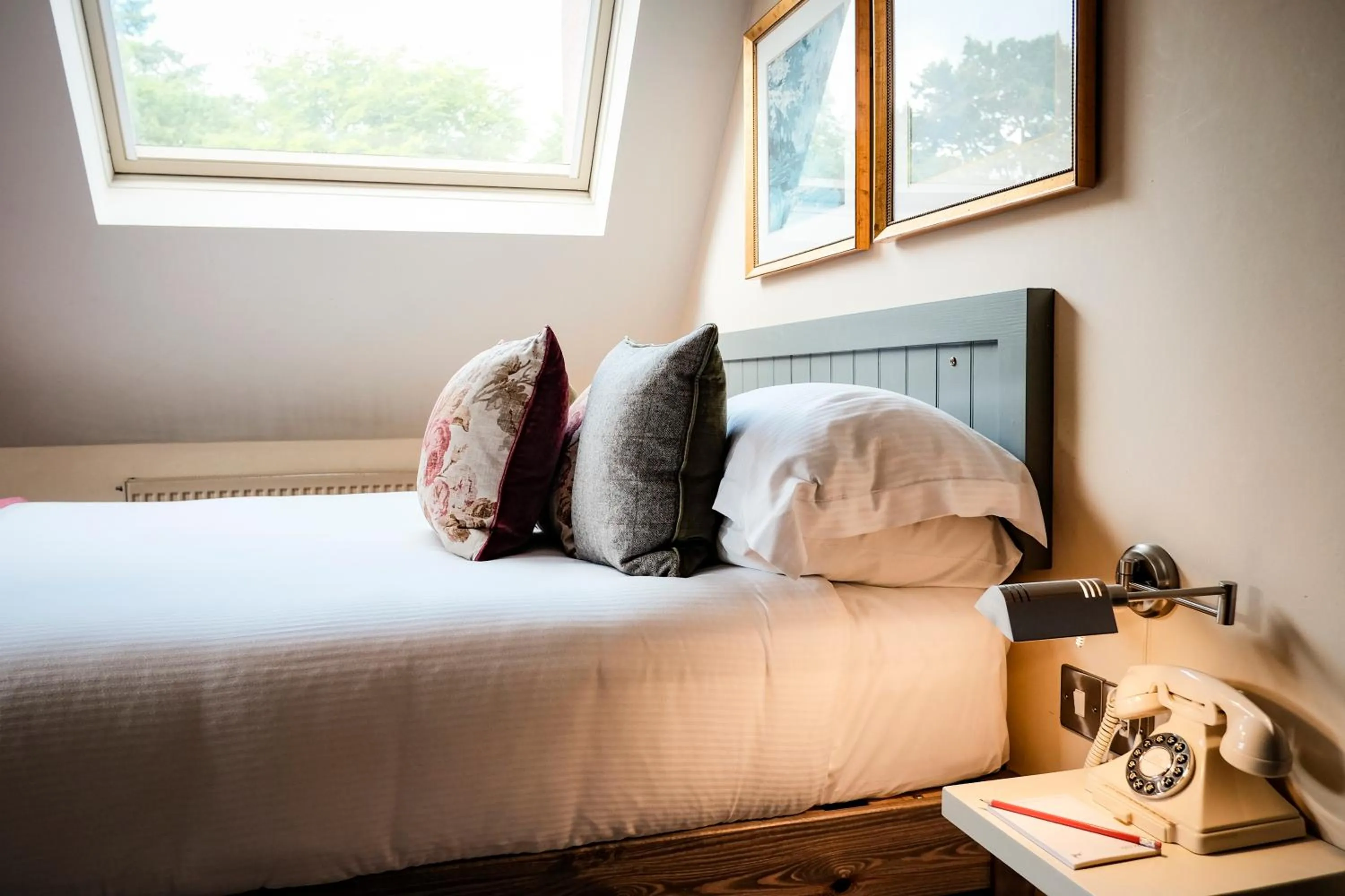 Bedroom, Bed in The White Buck