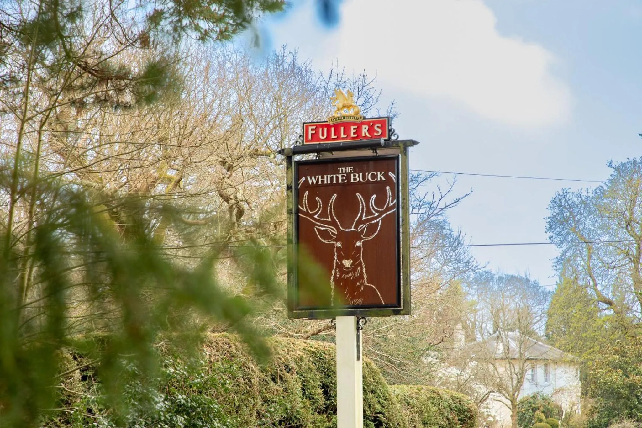 Property logo or sign in The White Buck
