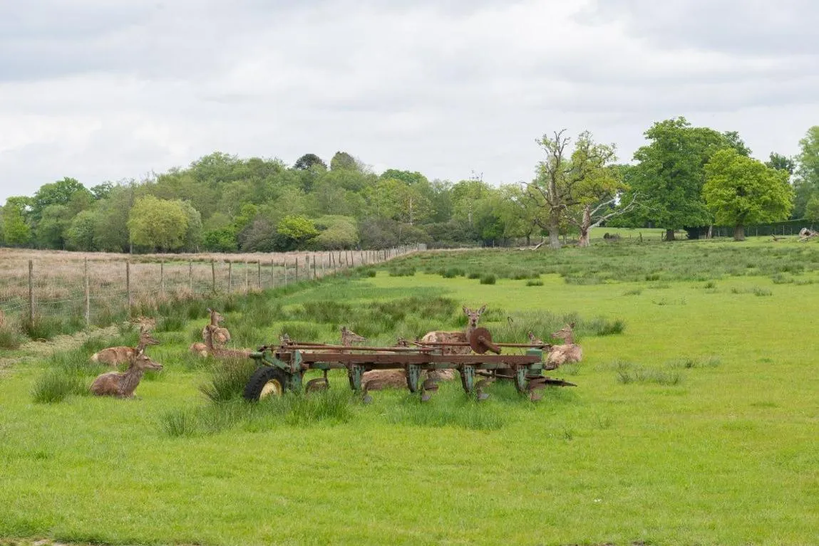 View (from property/room) in Burley Manor