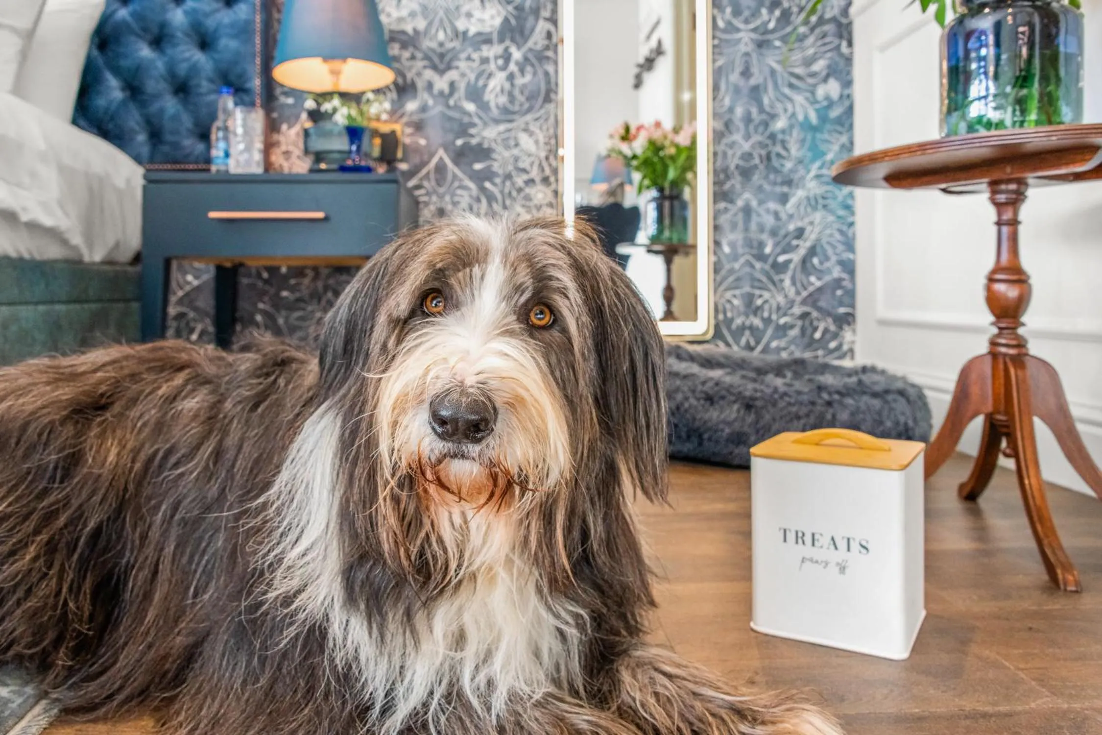 Pets in The Ley Arms