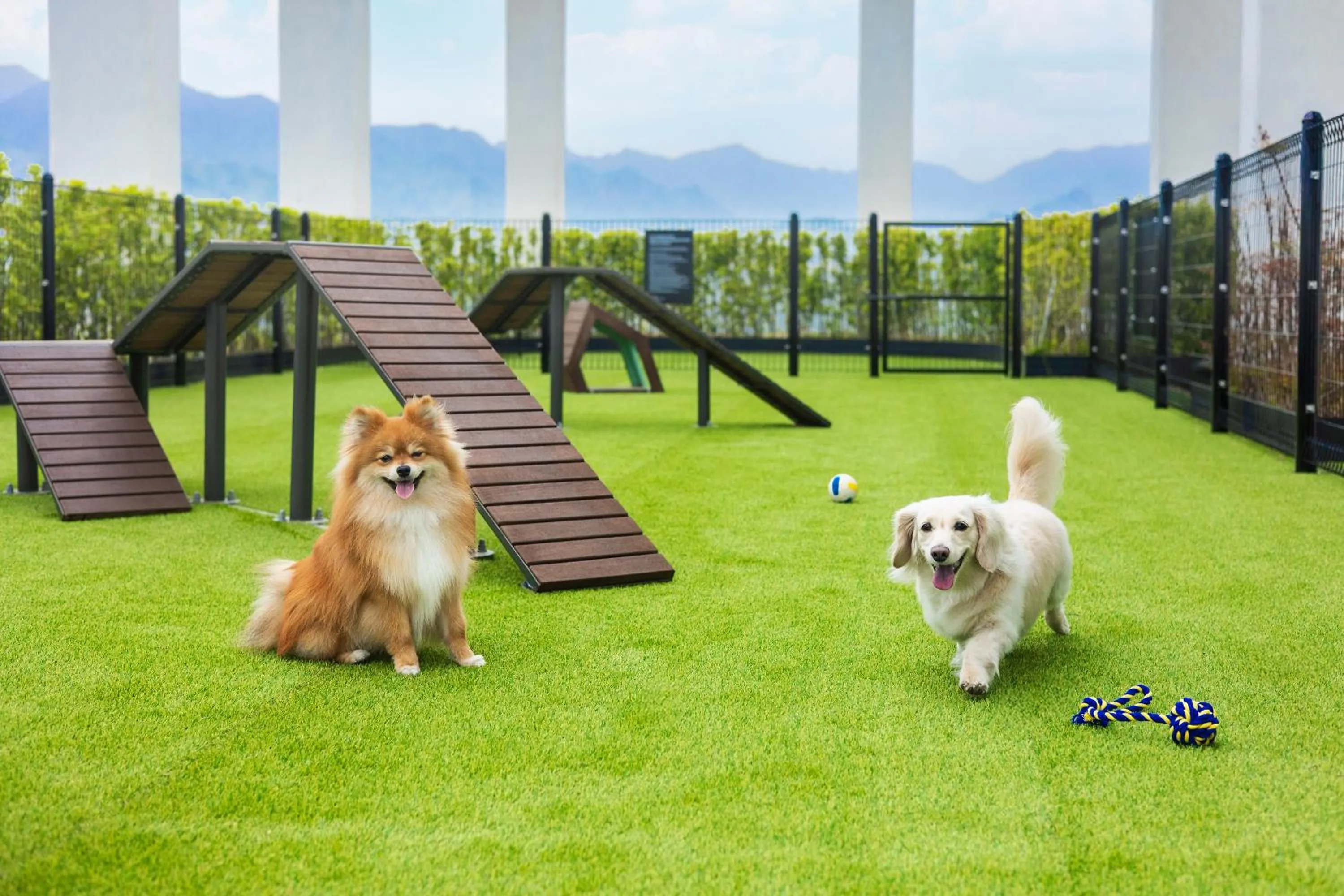 Pets in Cassia Sokcho