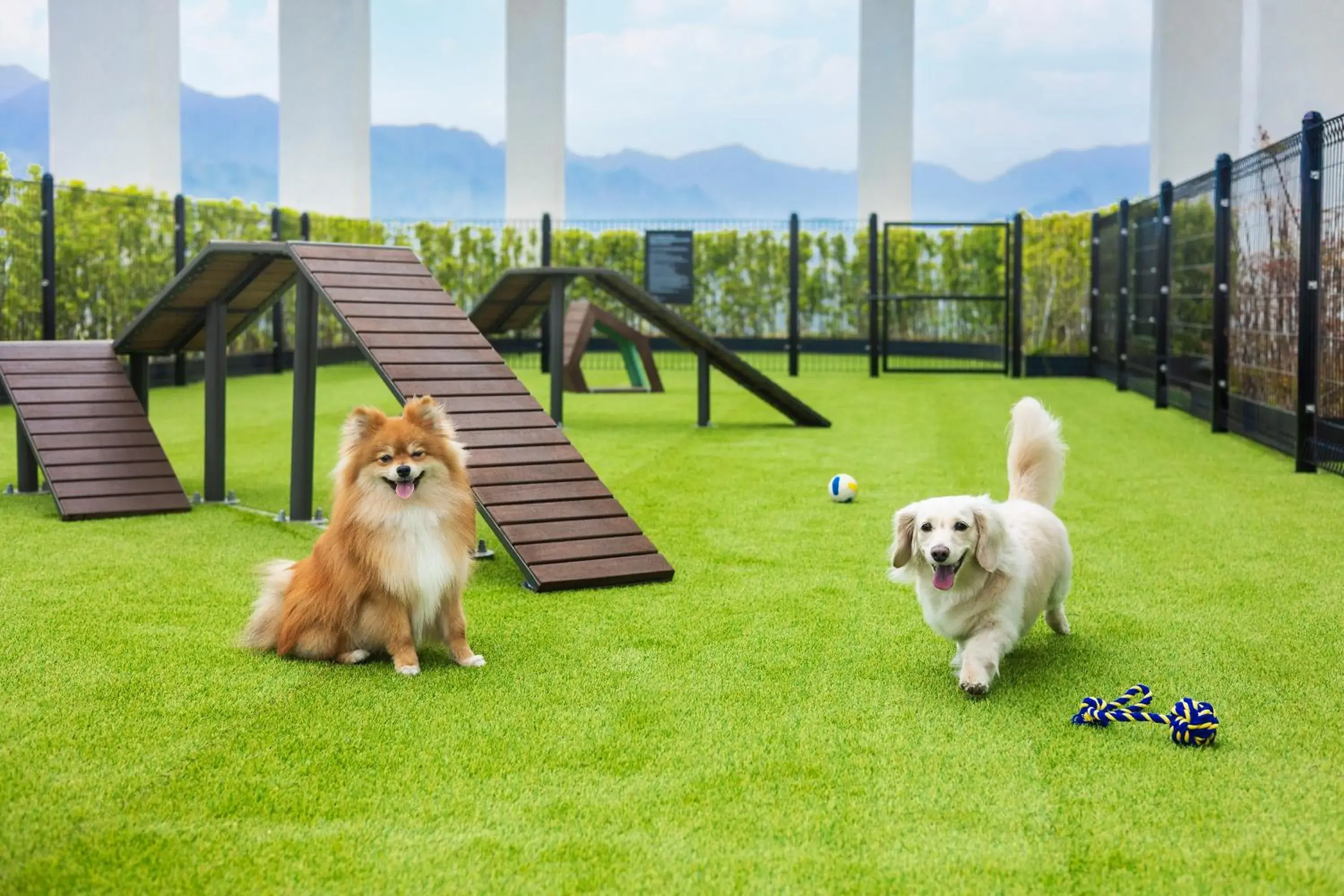 Superior Twin – Pet Friendly in Cassia Sokcho Superior Twin – Pet Friendly in Cassia Sokcho