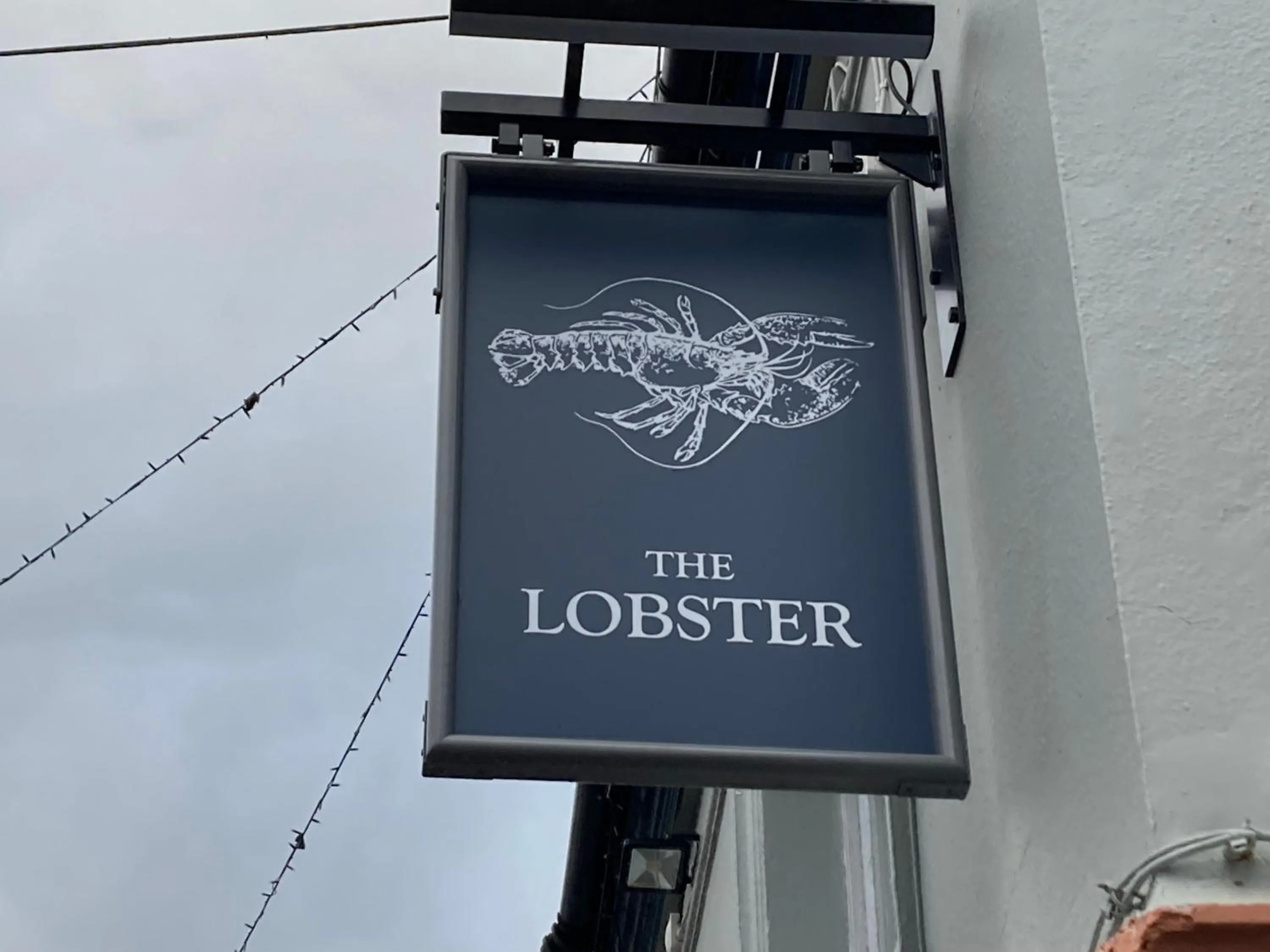 Logo/Certificate/Sign in The Lobster