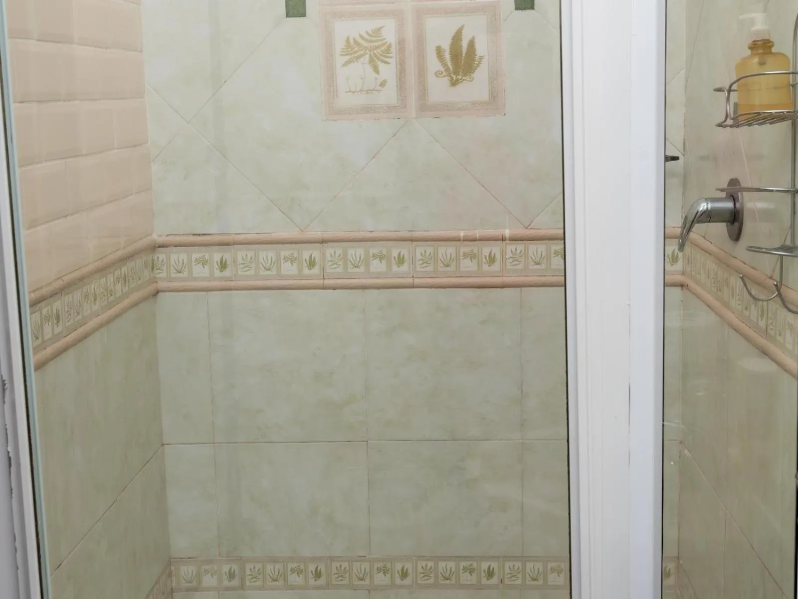 Shower in Dolphin Coast B&B / Self catering