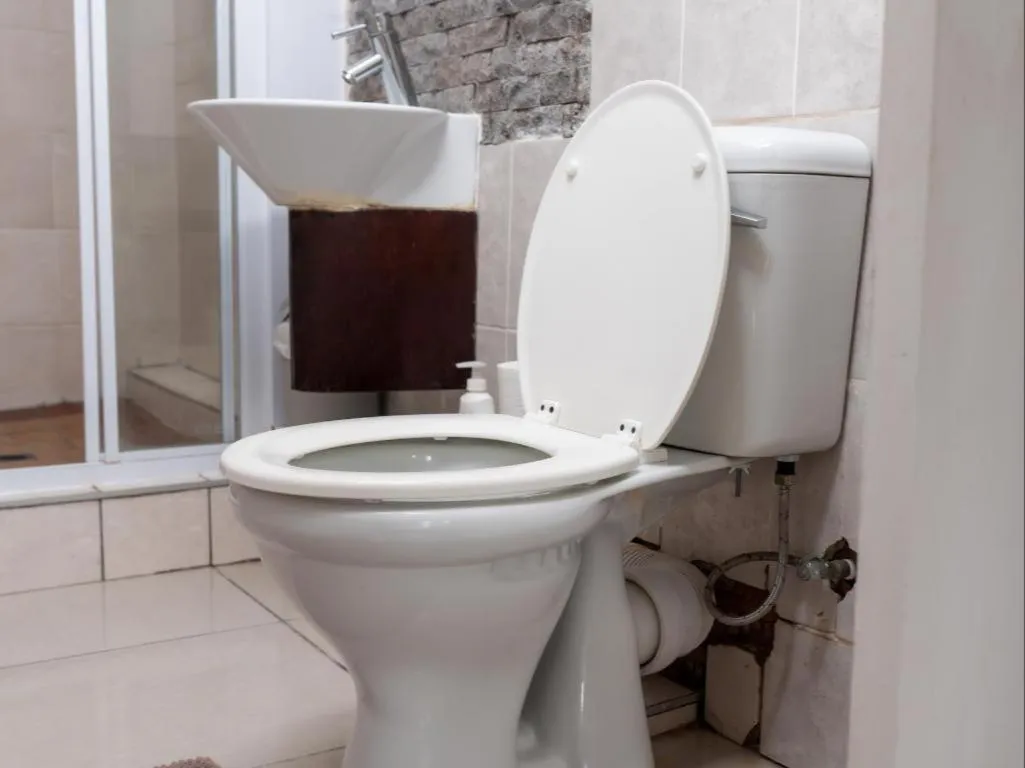 Toilet in Dolphin Coast B&B / Self catering