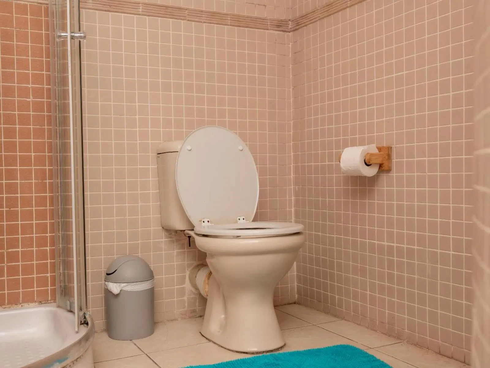 Toilet in Dolphin Coast B&B / Self catering