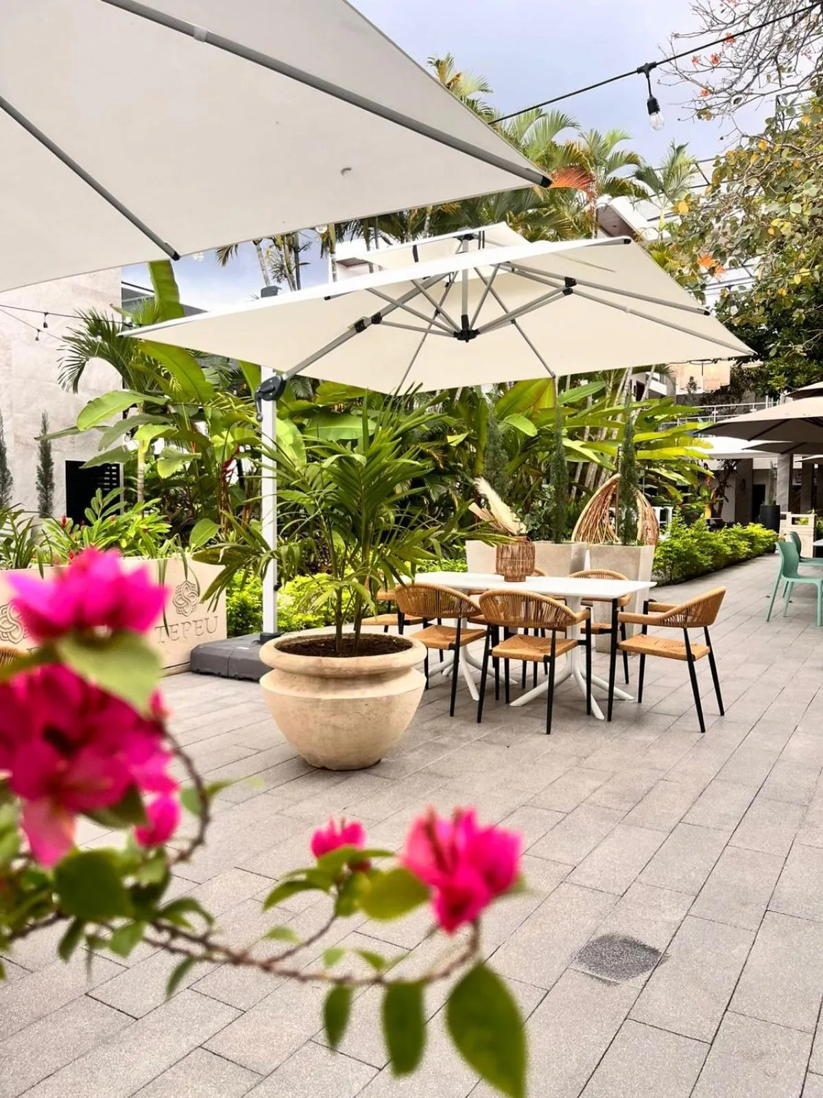 Restaurant/places to eat in Hotel Tepeu