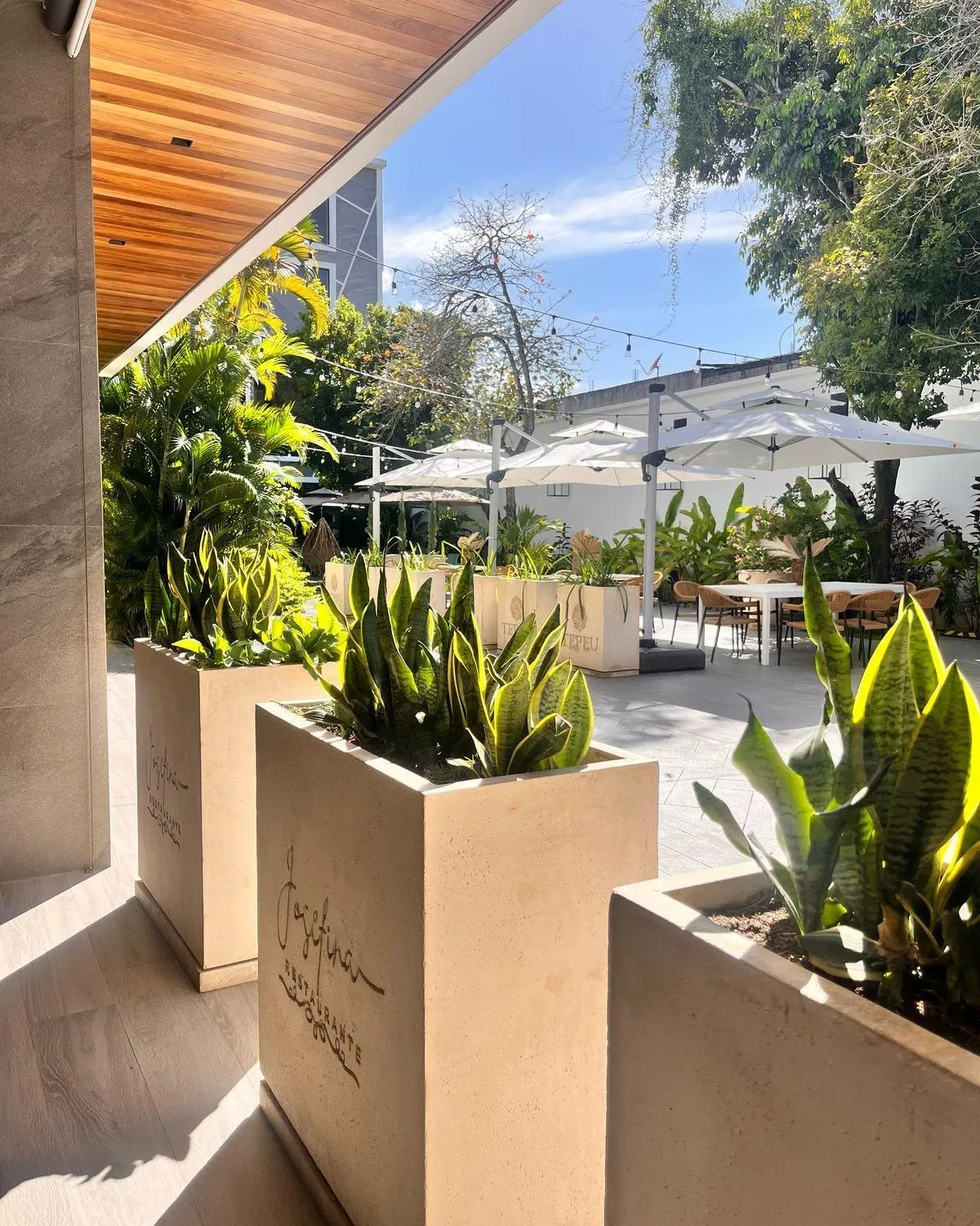 Restaurant/places to eat in Hotel Tepeu