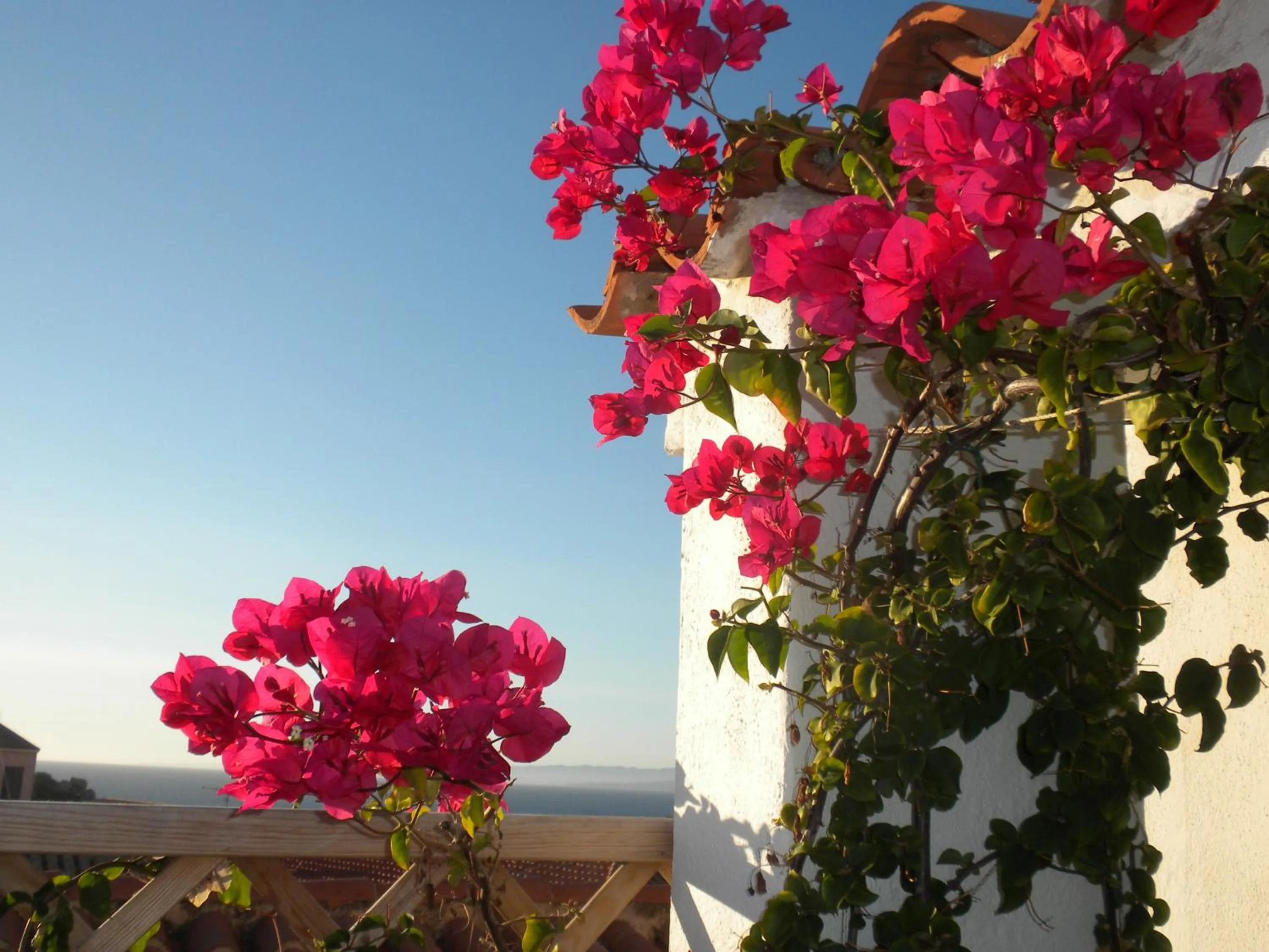 View (from property/room) in B&B Domus de Janas Santa Teresa Gallura