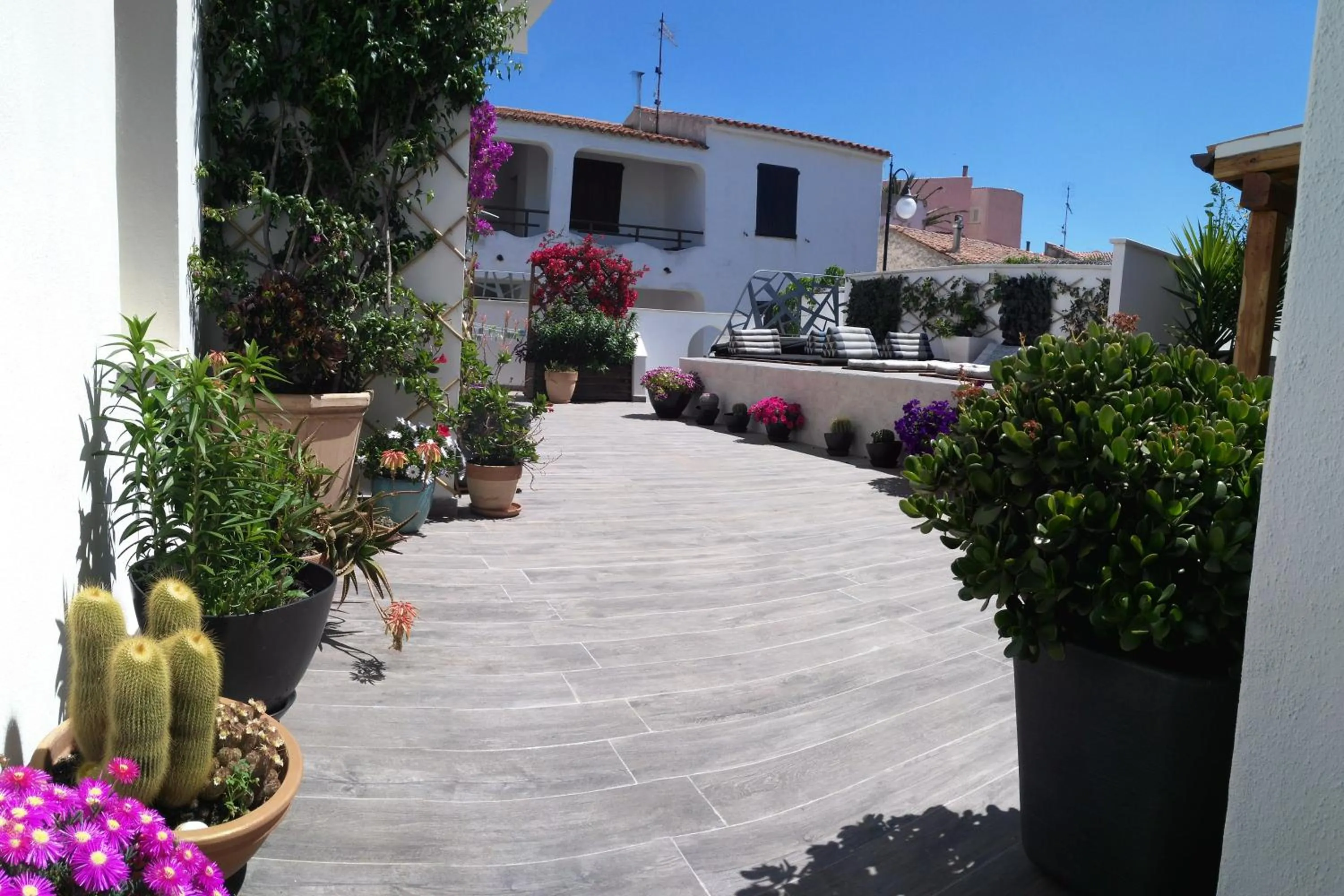 Garden view in B&B Domus de Janas Santa Teresa Gallura