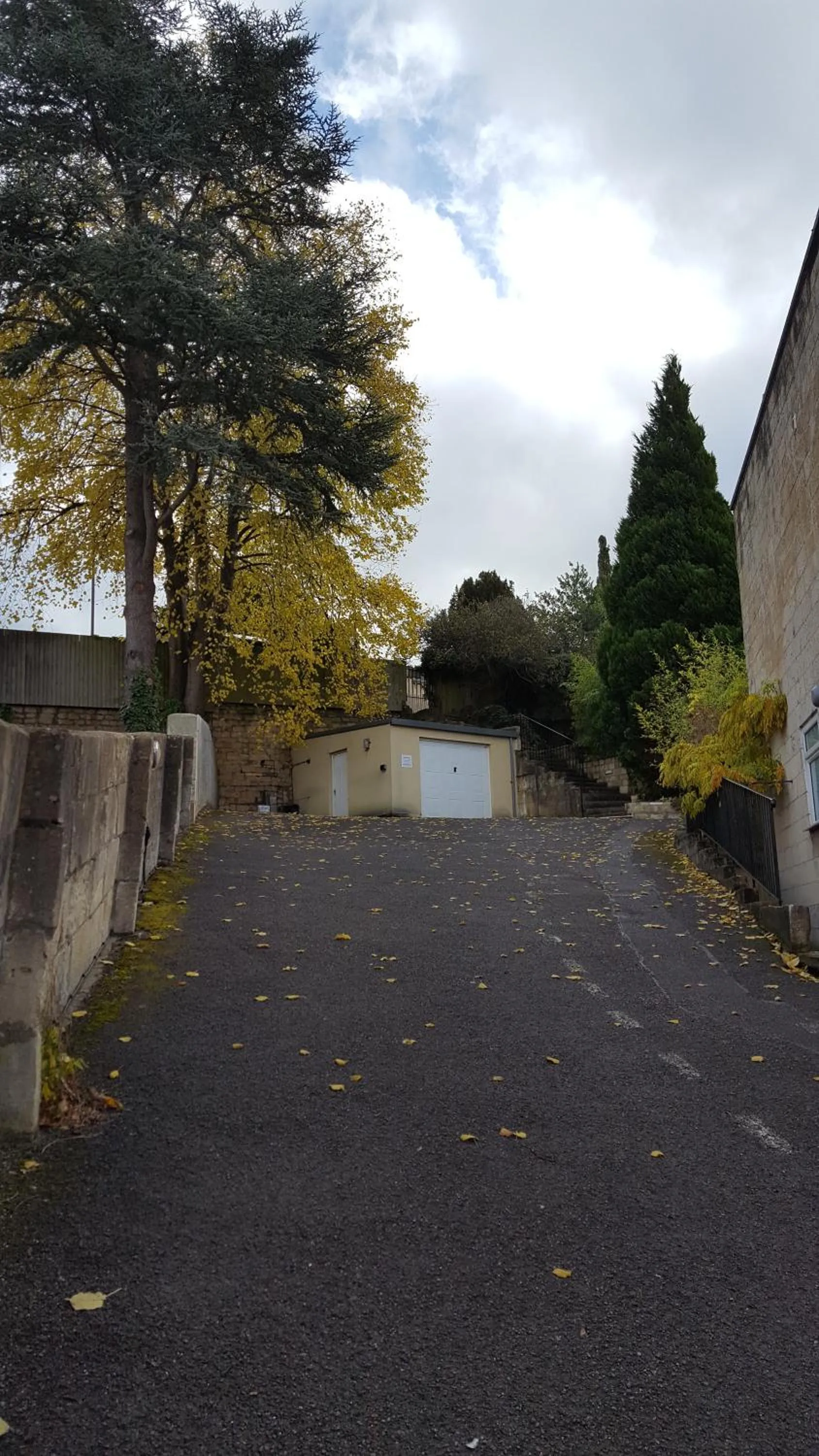 Area and facilities in Dorian House Boutique B&B - Free Parking!