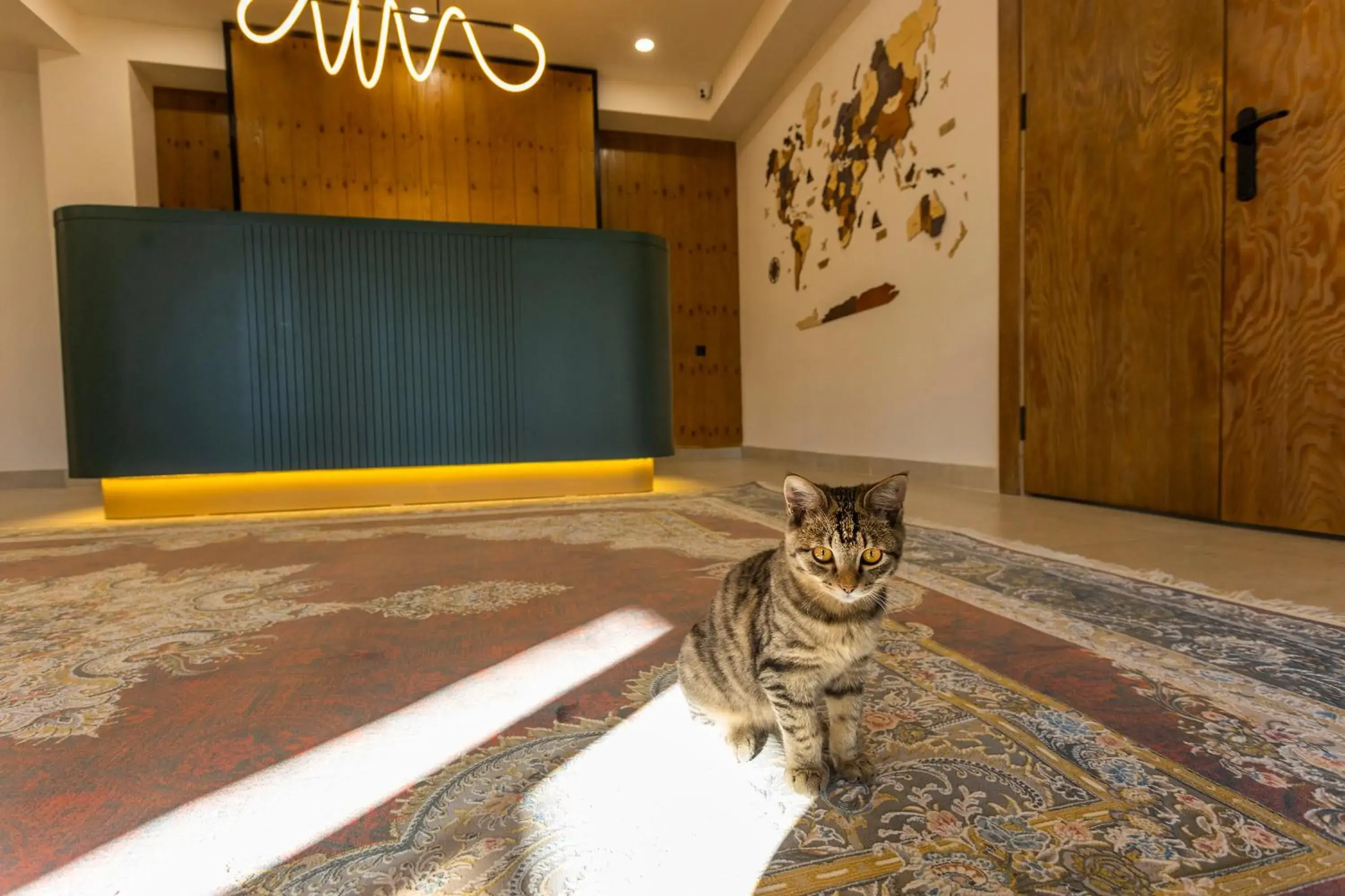 Lobby or reception in Akjola Lobby or reception in Akjola