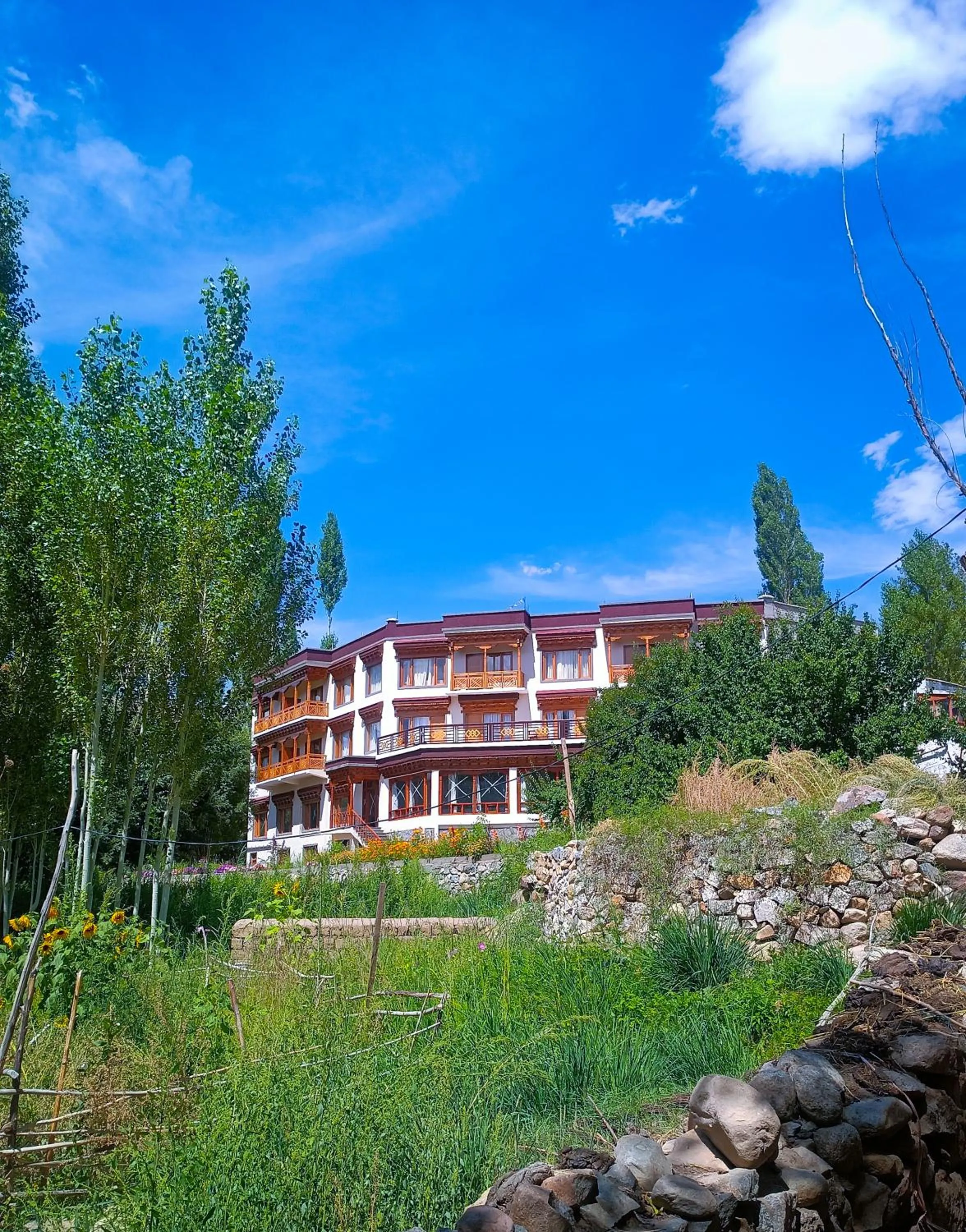 Property building in The Kart-Sey Ladakh