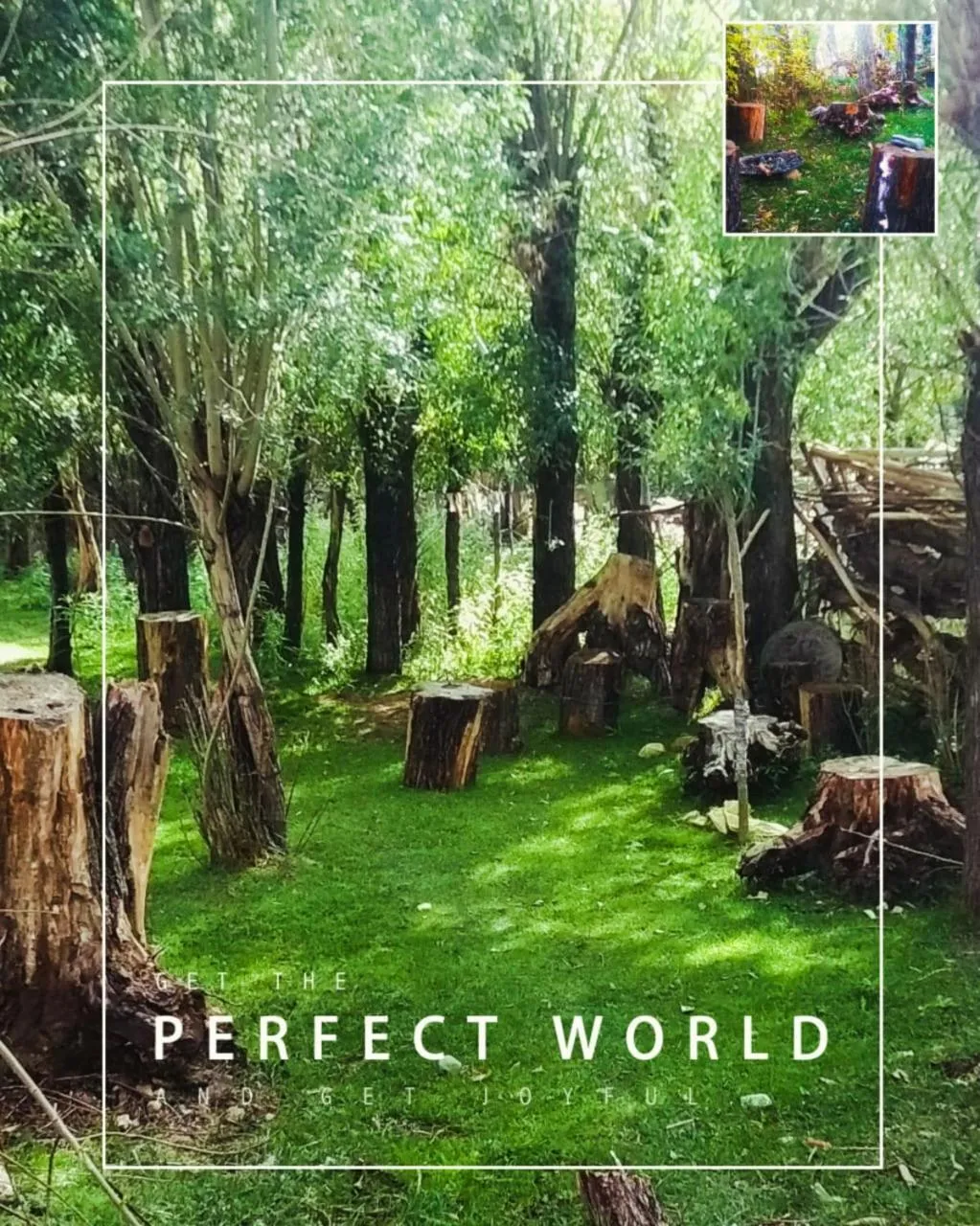 Garden in The Kart-Sey Ladakh