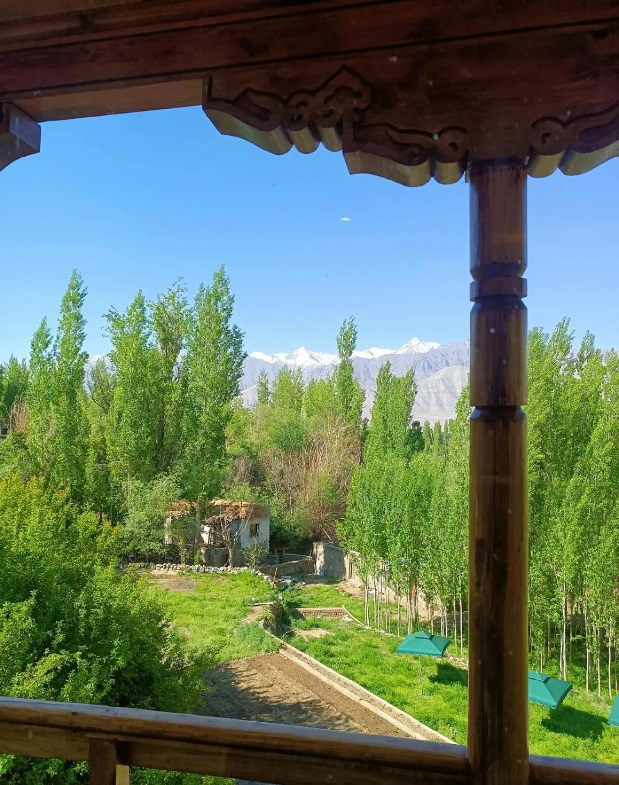 View (from property/room) in The Kart-Sey Ladakh
